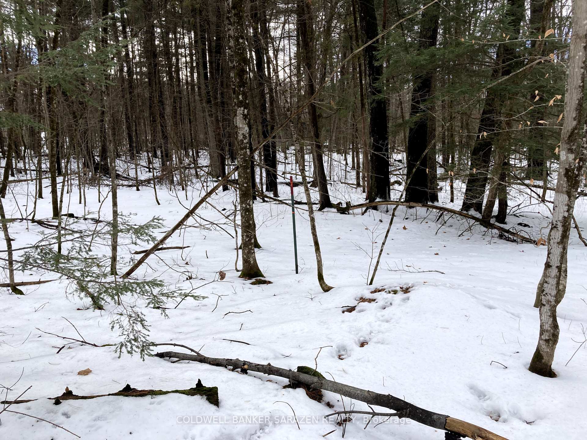 Photo 7 of Lot 8 Deerfield Drive, McNab/Braeside, Mcnab/Braeside Twps — HOMEH