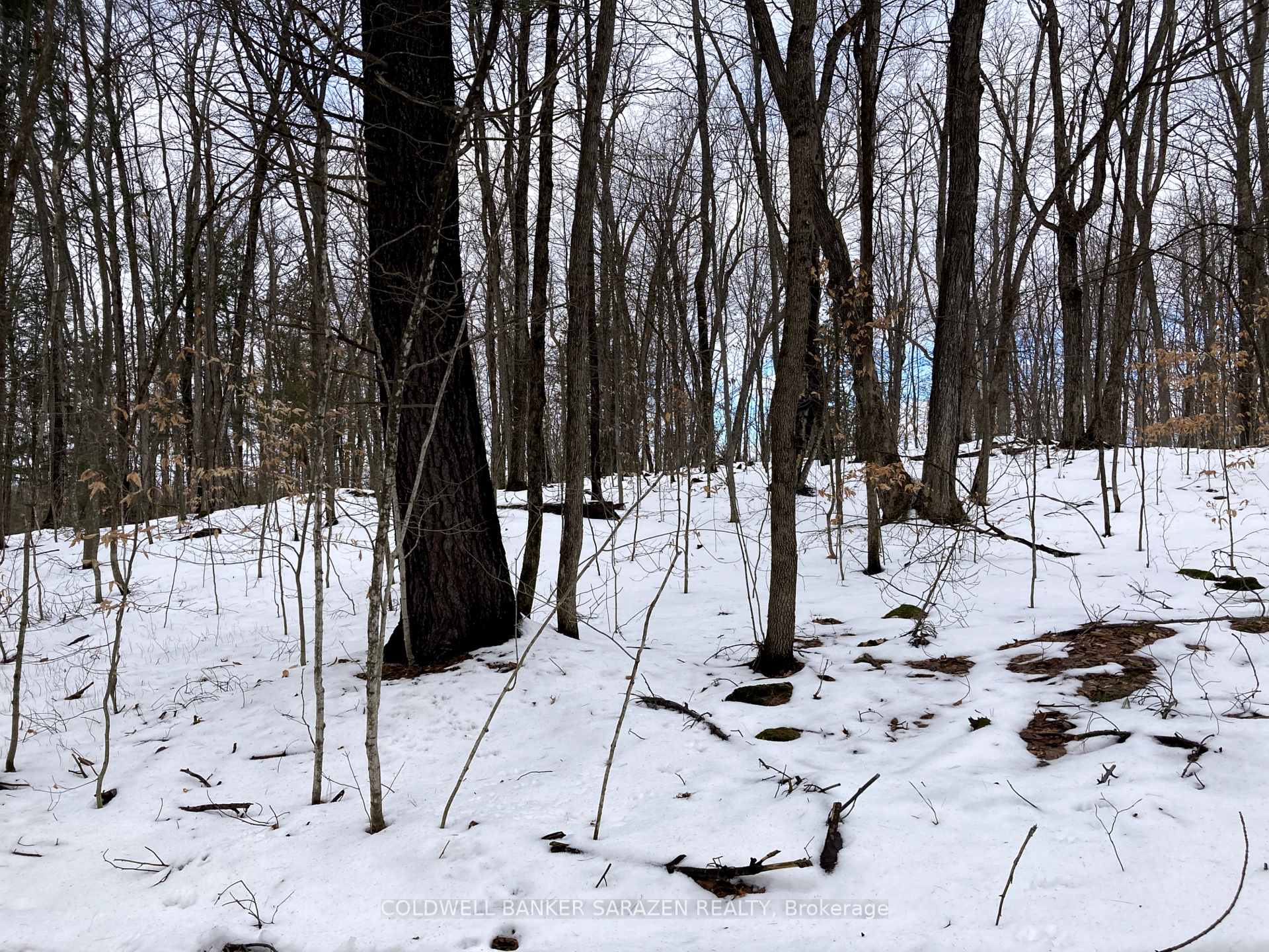 Photo 8 of Lot 8 Deerfield Drive, McNab/Braeside, Mcnab/Braeside Twps — HOMEH