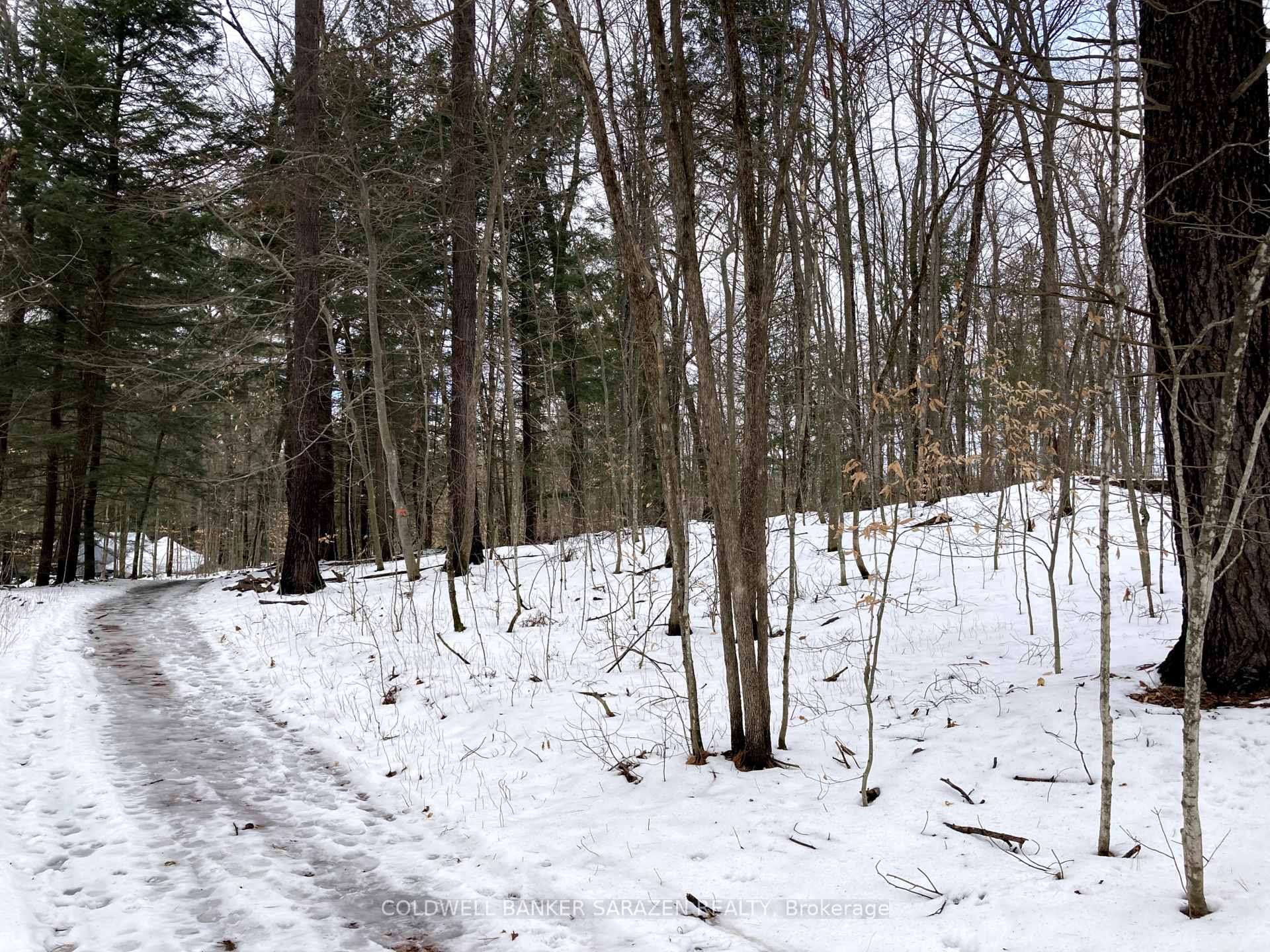 Photo 9 of Lot 8 Deerfield Drive, McNab/Braeside, Mcnab/Braeside Twps — HOMEH