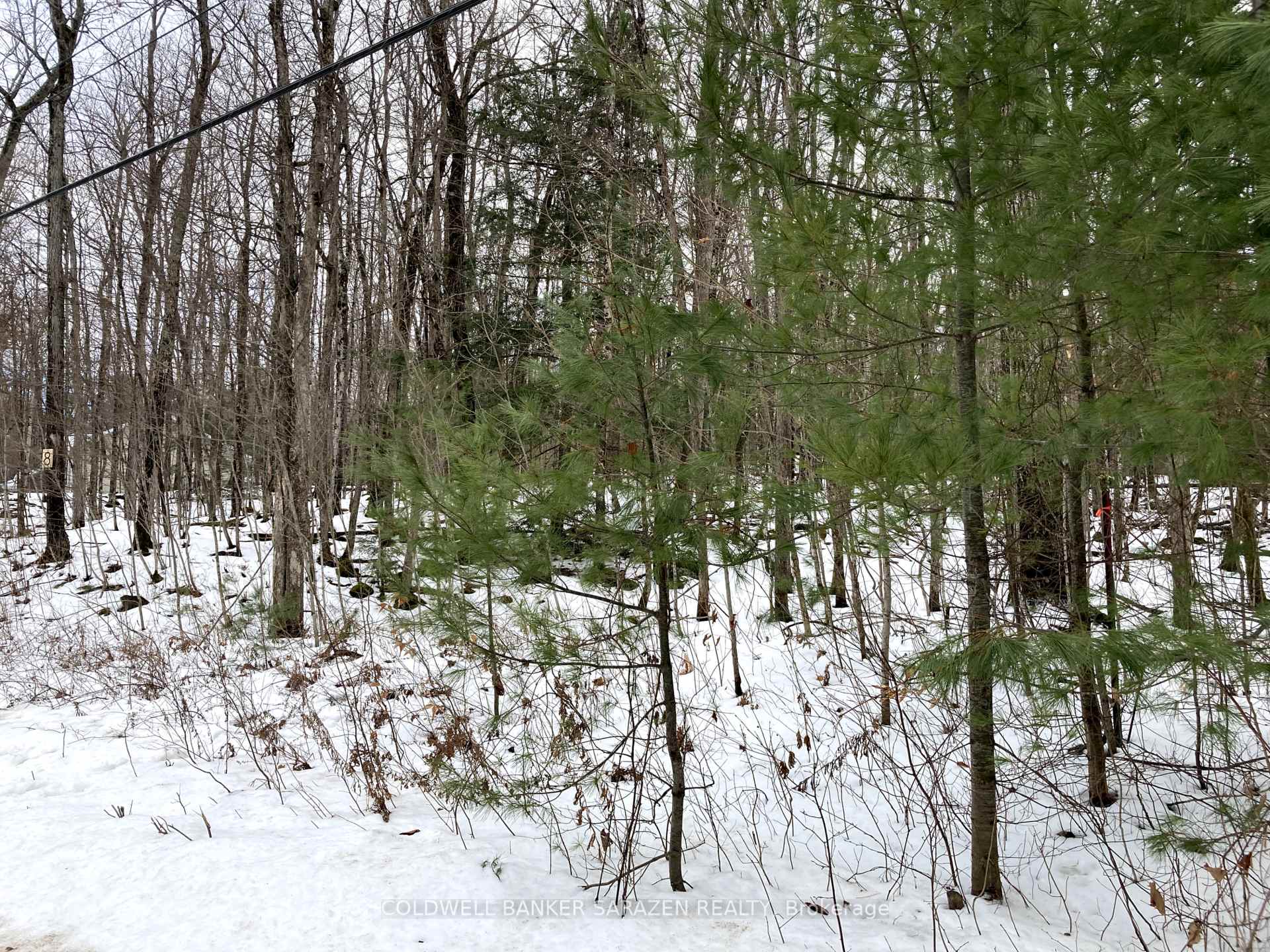 Photo 10 of Lot 8 Deerfield Drive, McNab/Braeside, Mcnab/Braeside Twps — HOMEH