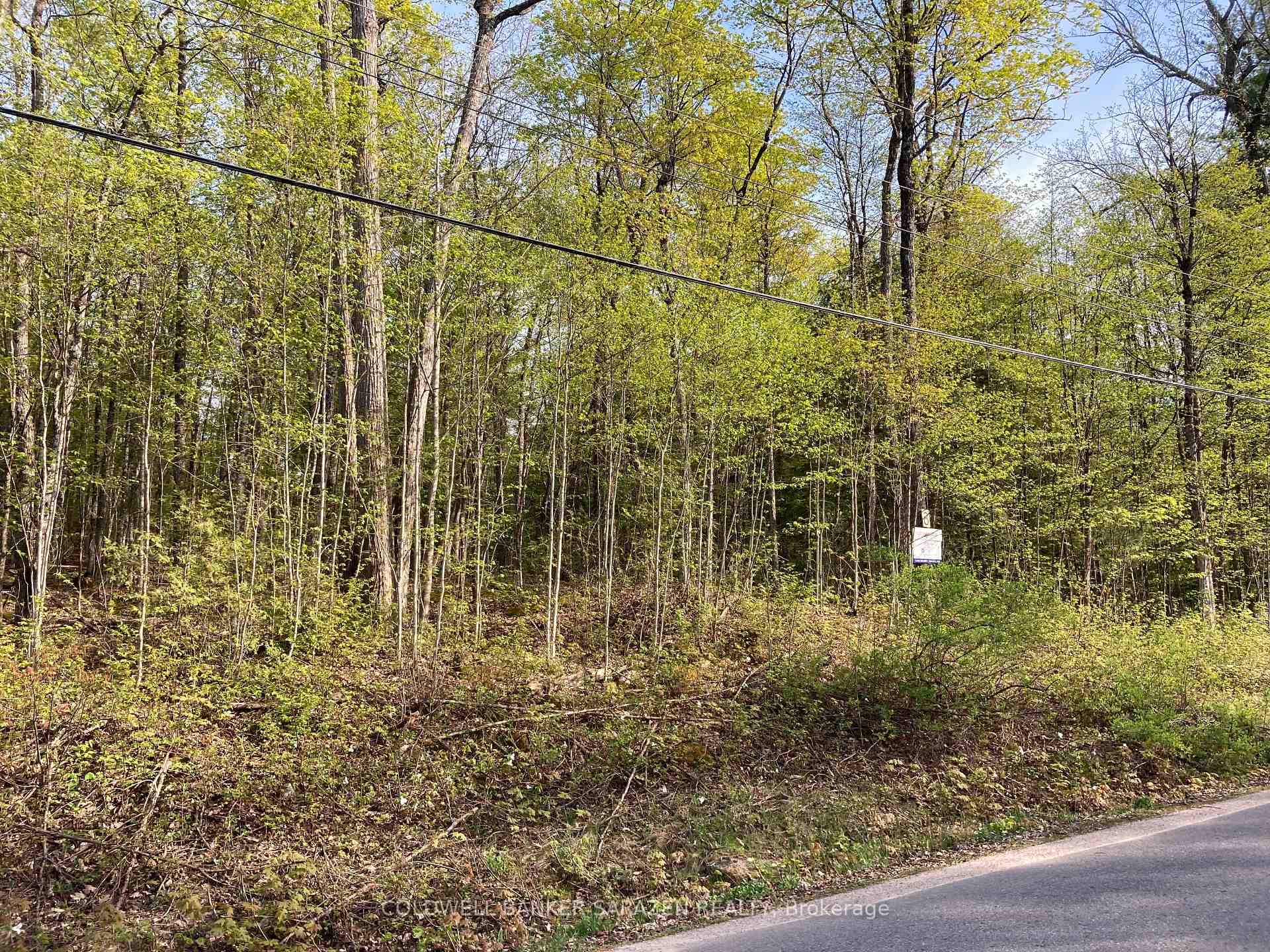 Photo 11 of Lot 8 Deerfield Drive, McNab/Braeside, Mcnab/Braeside Twps — HOMEH