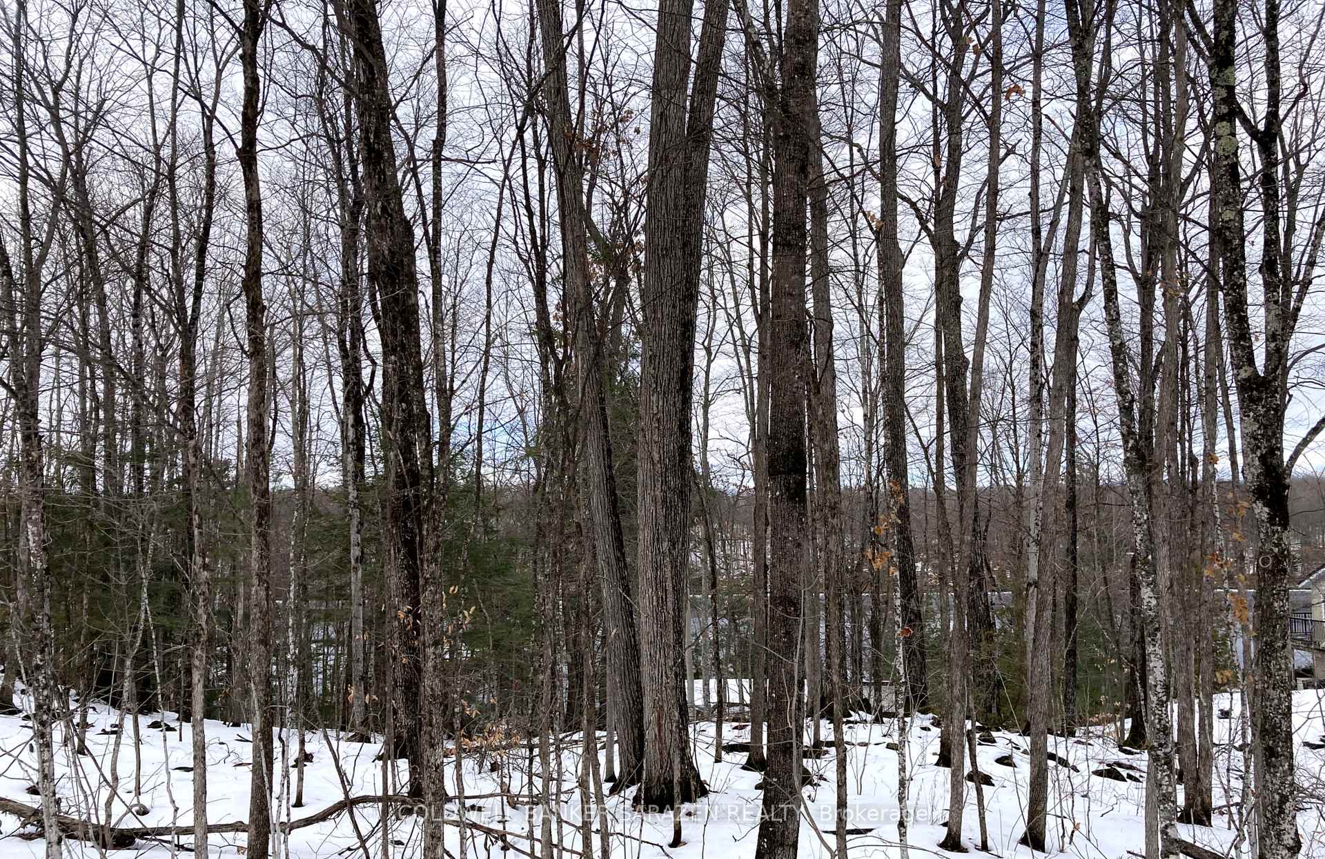 Photo 12 of Lot 8 Deerfield Drive, McNab/Braeside, Mcnab/Braeside Twps — HOMEH
