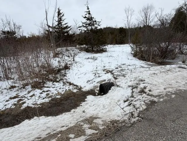 Front of Lot 3 Lakefield Road