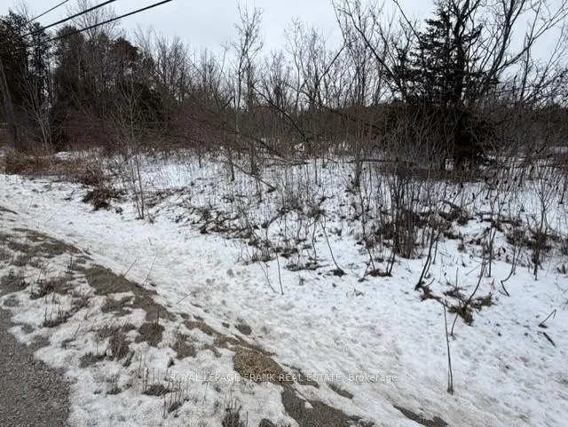 Front of Lot 4 Lakefield Road