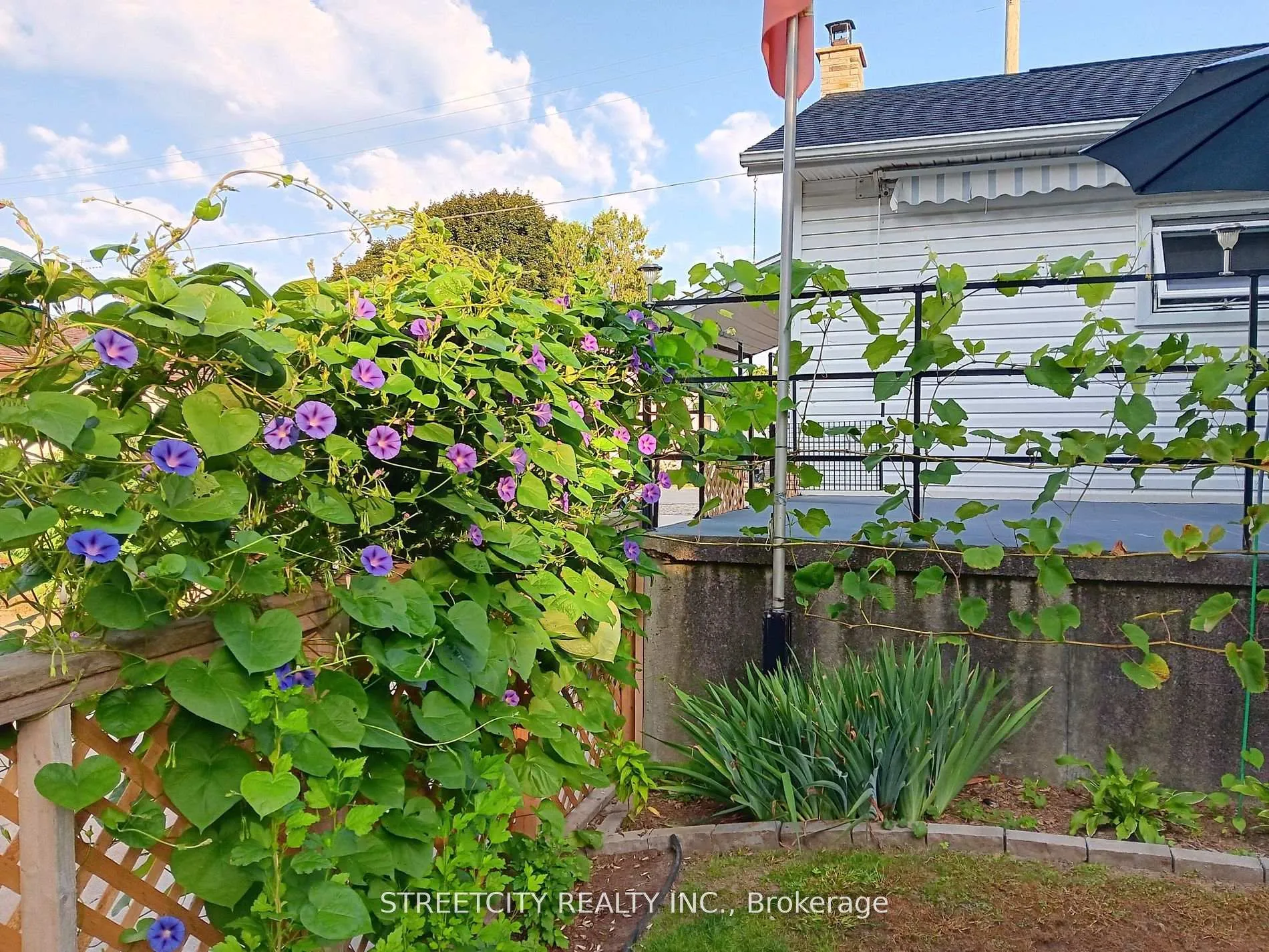 Photo 35 of 156 Maple Street, West Elgin, Rodney — HOMEH