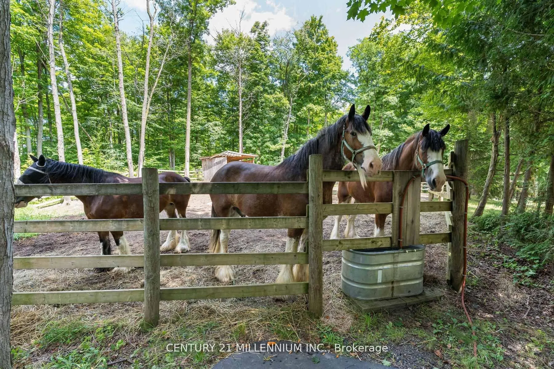 Photo 41 of 11646 Dublin Line, Halton Hills, Rural Halton Hills — HOMEH