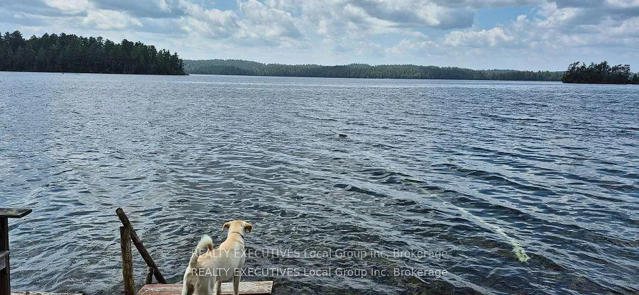 Photo 18 of 855 Lake Temagami Island, Temagami — HOMEH