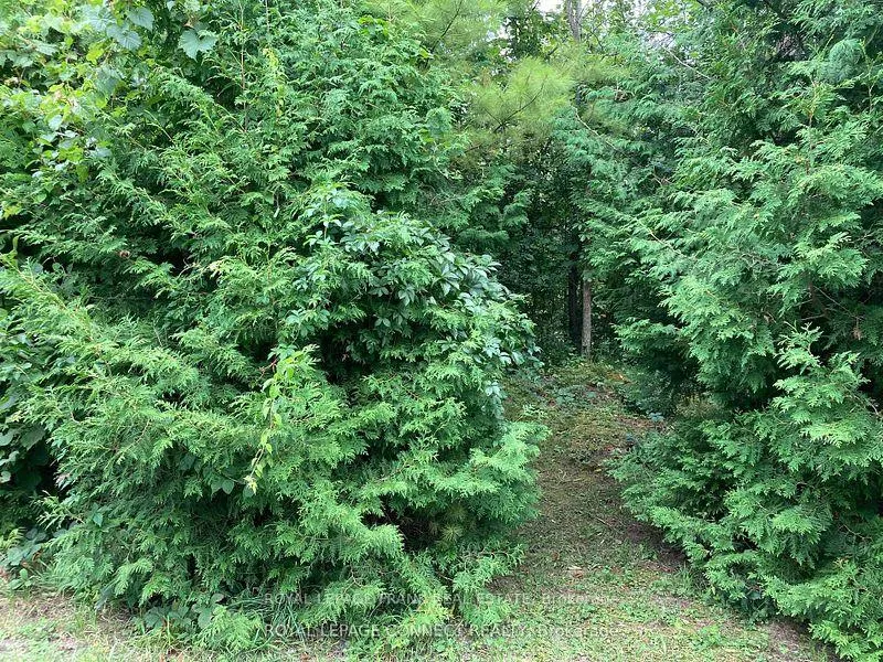 Photo 1 of Pinecrest Road, Georgina, Pefferlaw — HOMEH