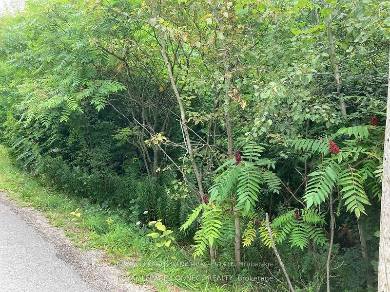 Photo 2 of Pinecrest Road, Georgina, Pefferlaw — HOMEH