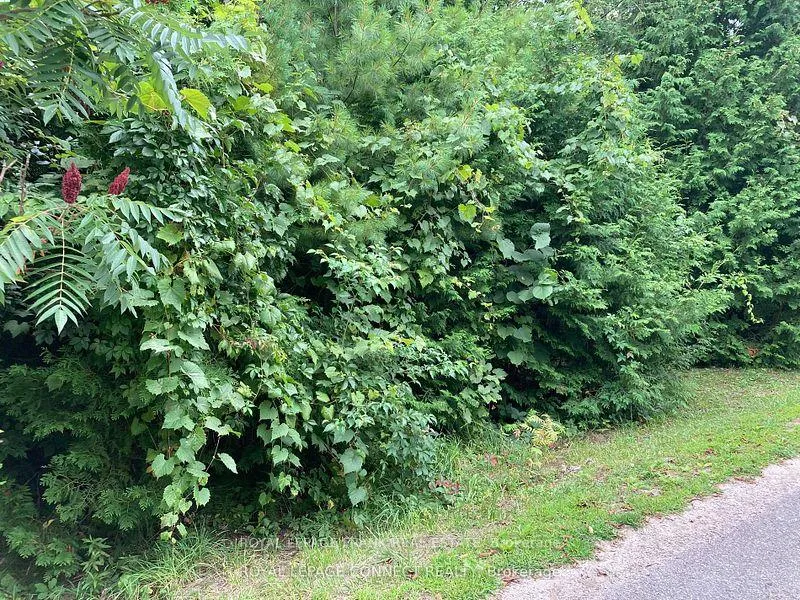 Photo 3 of Pinecrest Road, Georgina, Pefferlaw — HOMEH