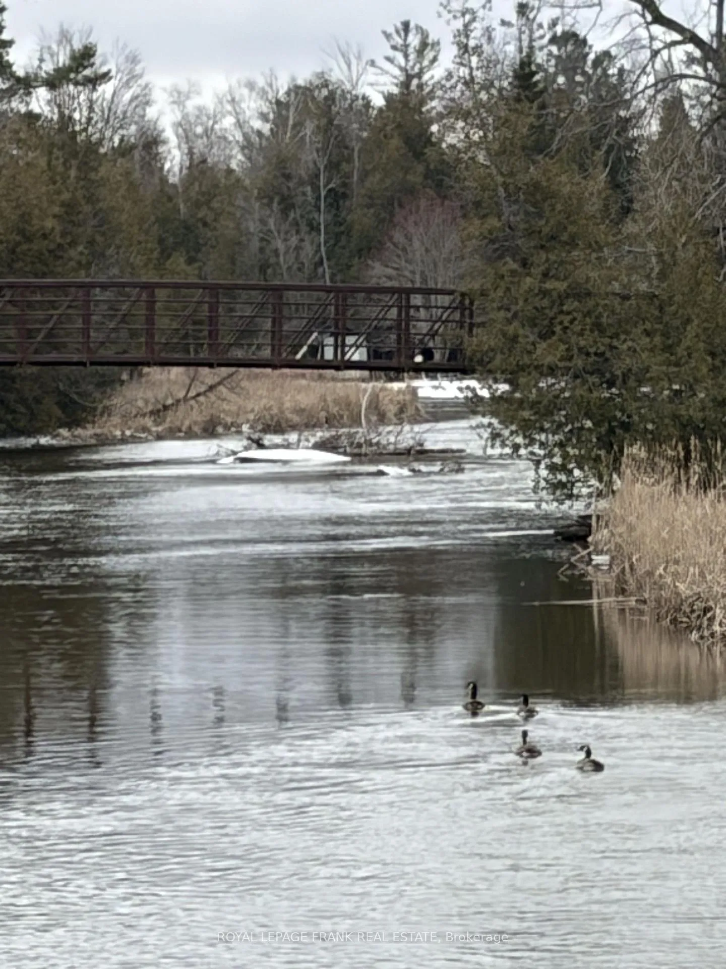 Photo 6 of Pinecrest Road, Georgina, Pefferlaw — HOMEH