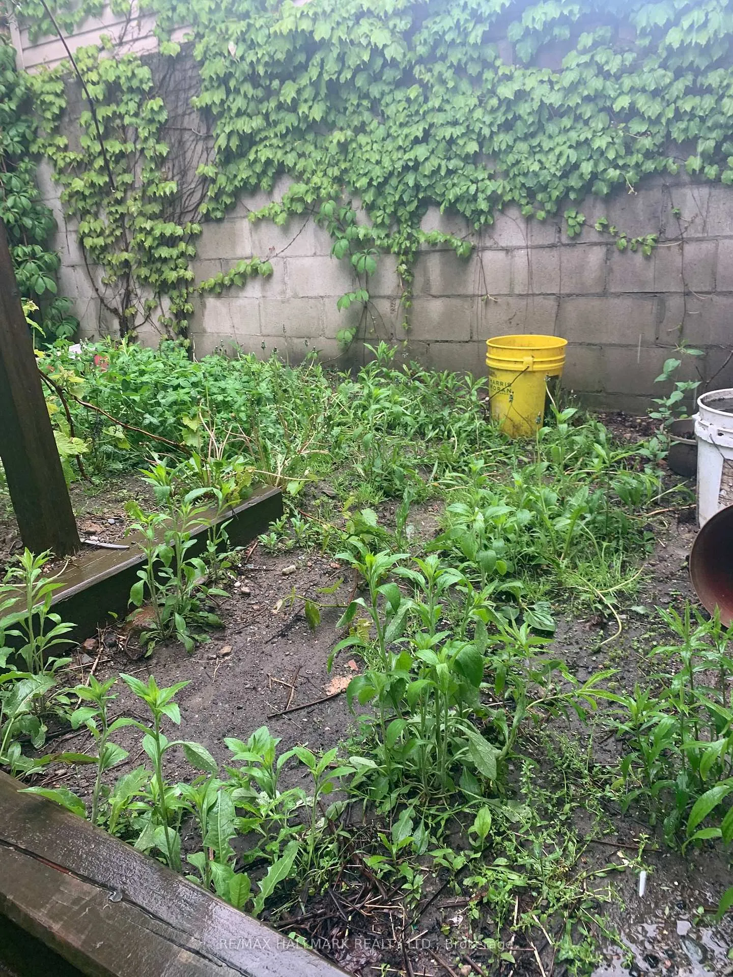 Photo 17 of 295 Old Weston Road, Toronto, Weston-Pellam Park — HOMEH