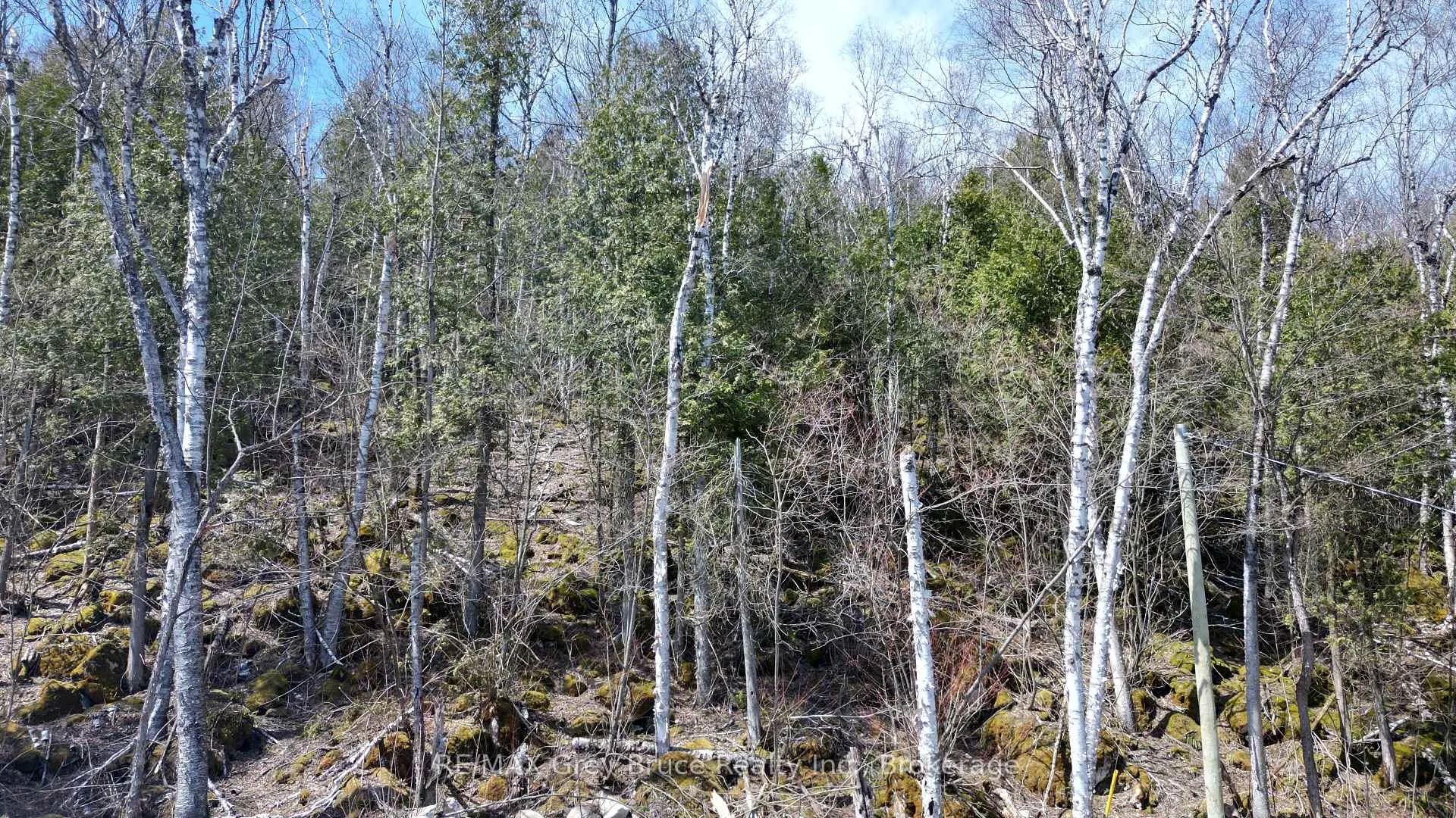 Photo 9 of 132-B Georgian Drive, Northern Bruce Peninsula — HOMEH