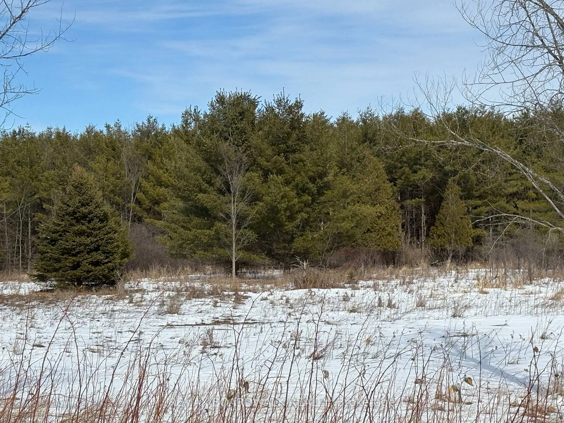 Photo 40 of 2955 Torwood Drive, Ottawa, Dunrobin Shores — HOMEH