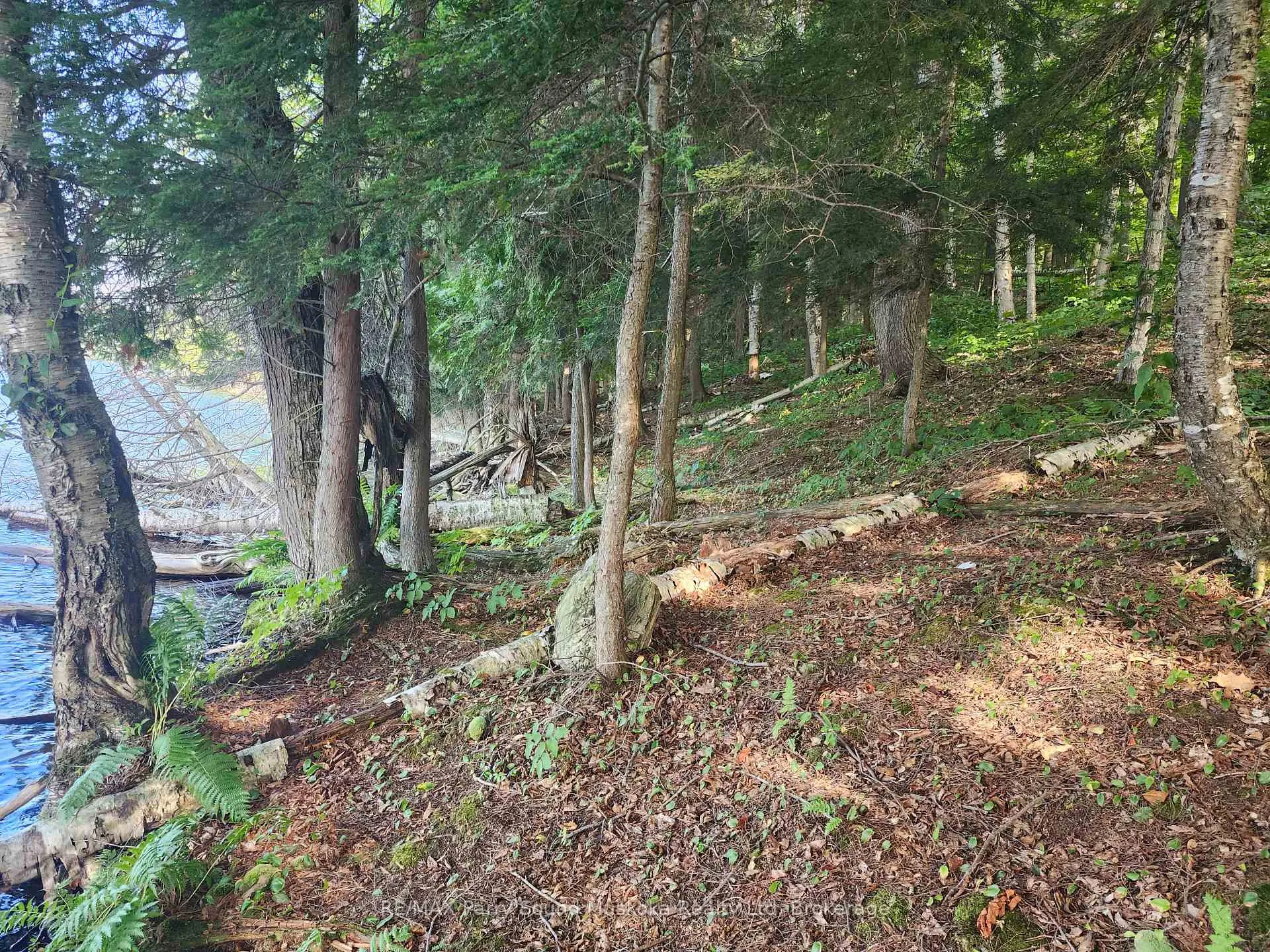 Photo 3 of 368 Simmons Lake Road, Magnetawan — HOMEH