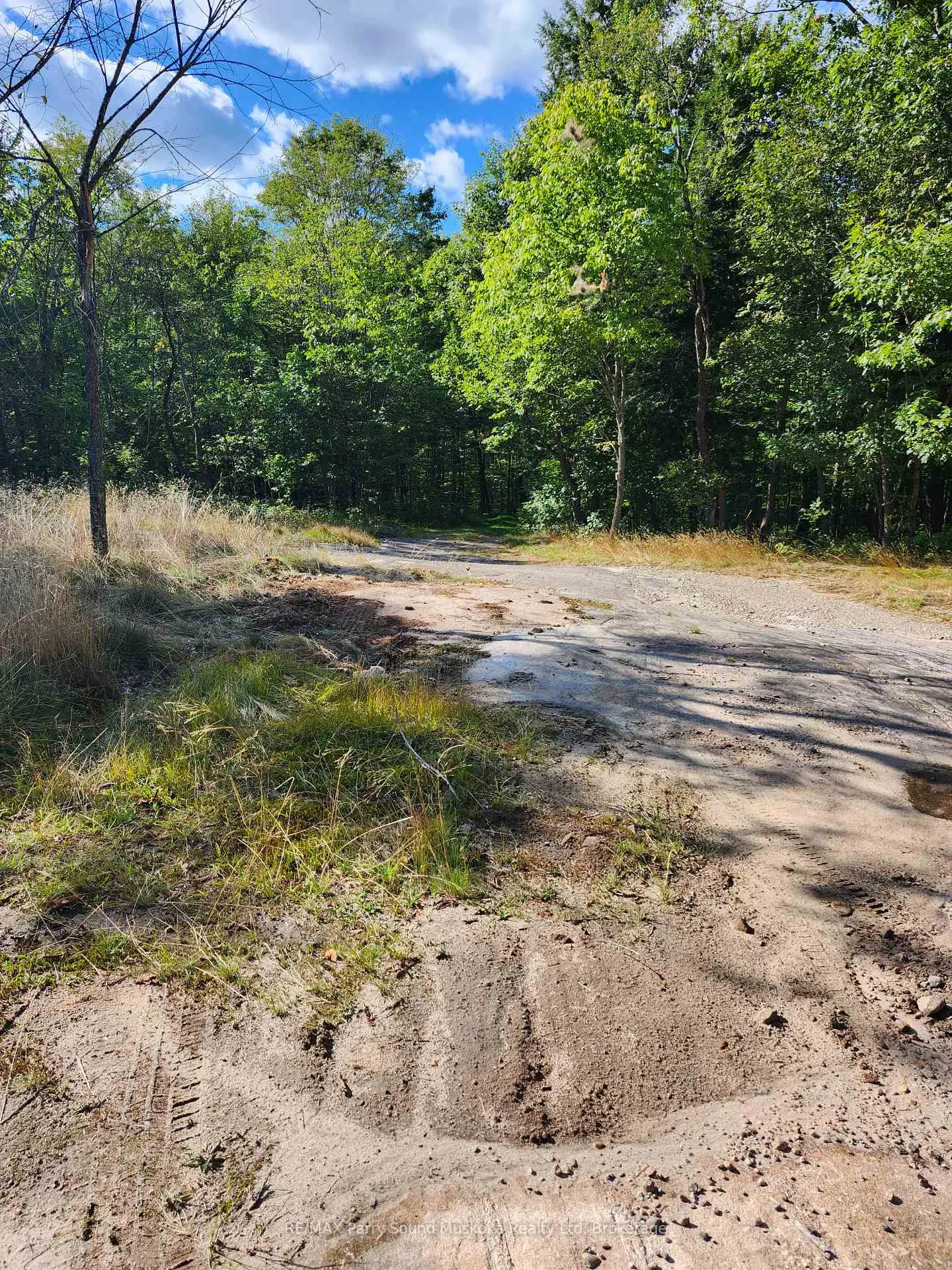 Photo 4 of 368 Simmons Lake Road, Magnetawan — HOMEH