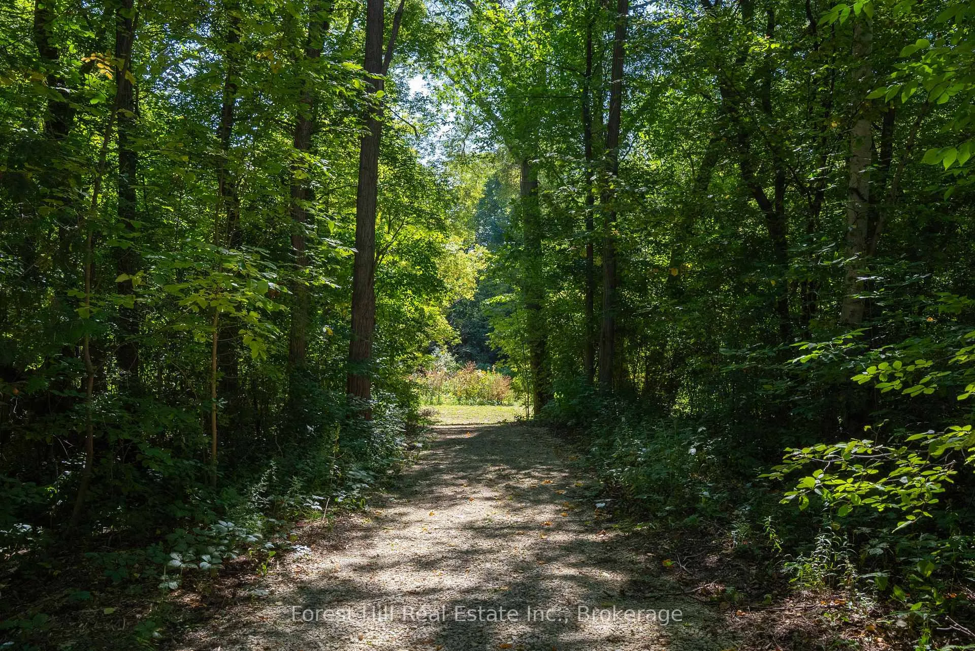 Photo 41 of 854 Sixth Street, Clearview, Rural Clearview — HOMEH