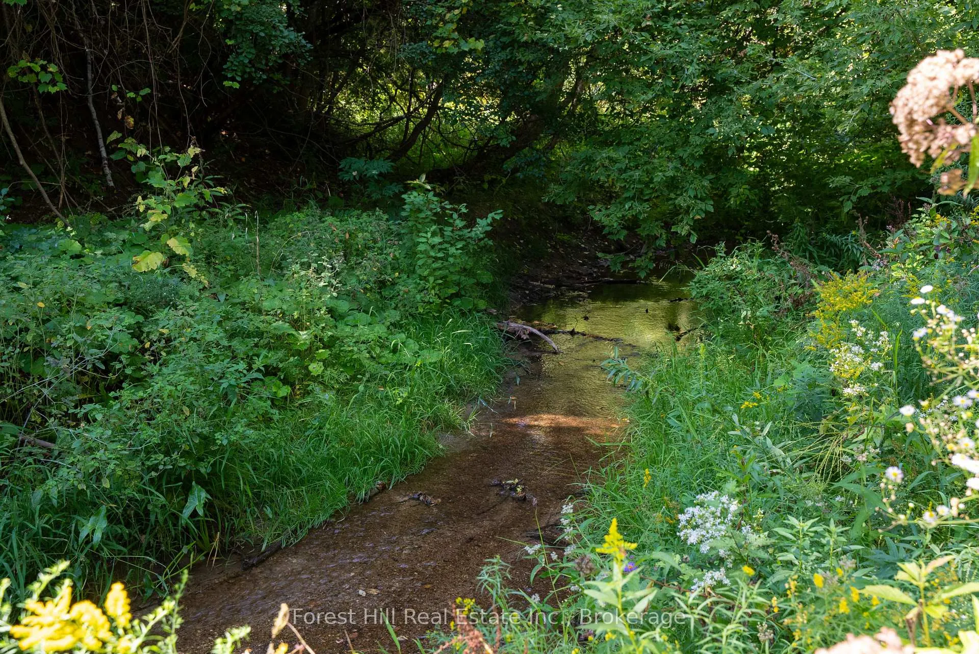 Photo 42 of 854 Sixth Street, Clearview, Rural Clearview — HOMEH