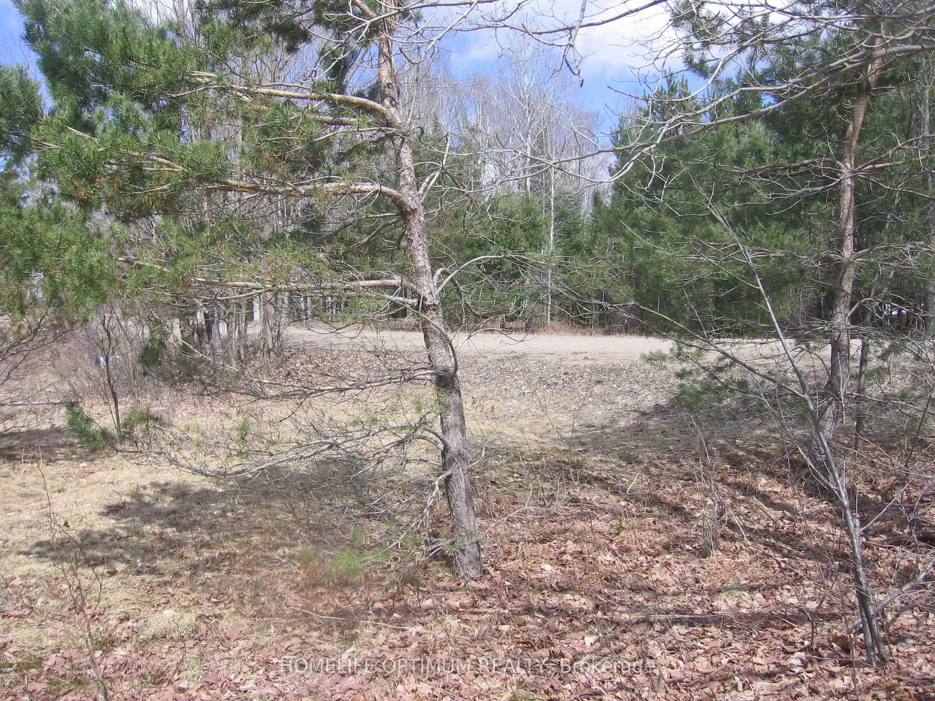 Photo 3 of 2.6 Acres Norley Drive, Algonquin Highlands, Stanhope — HOMEH