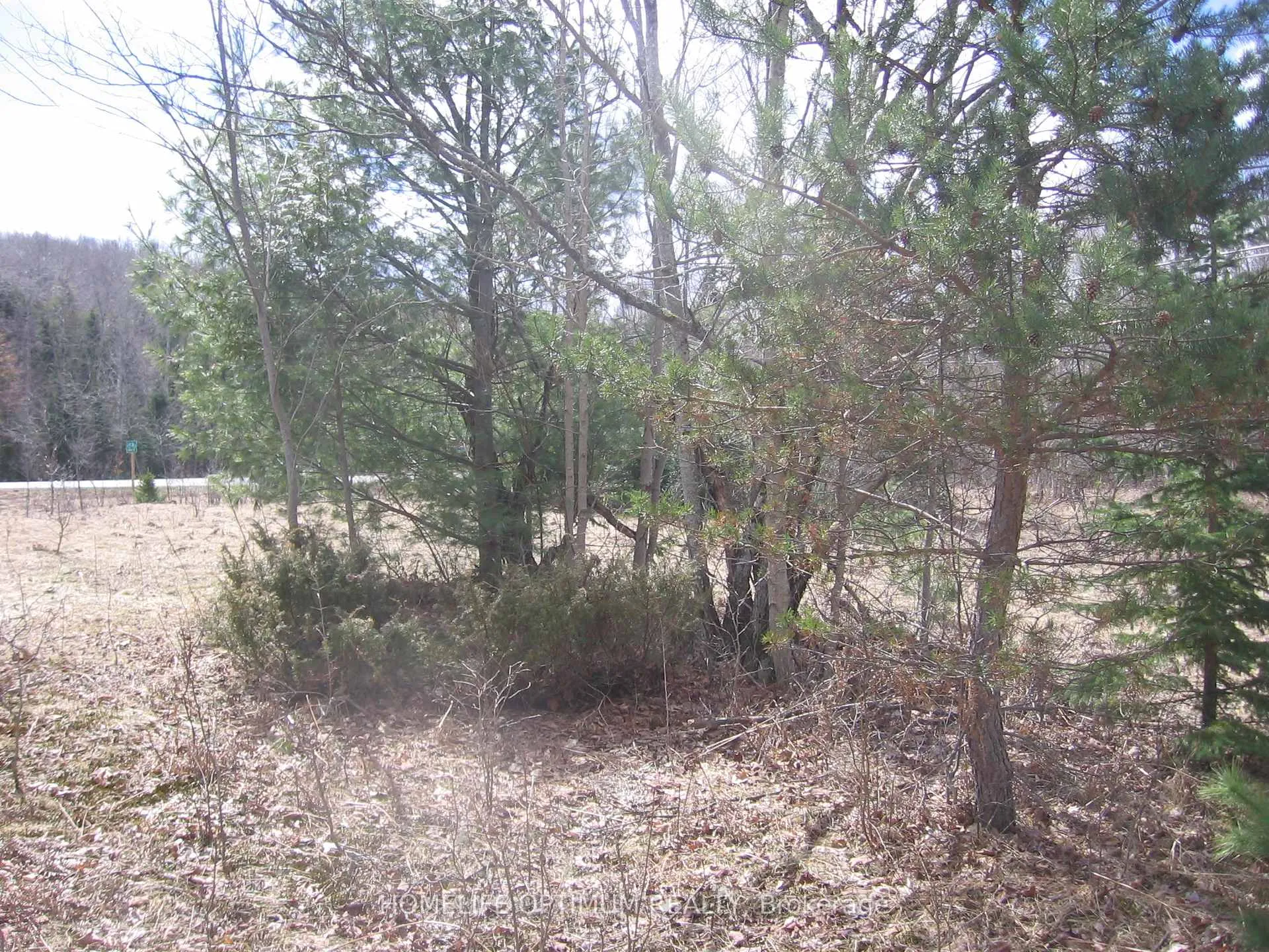 Photo 4 of 2.6 Acres Norley Drive, Algonquin Highlands, Stanhope — HOMEH
