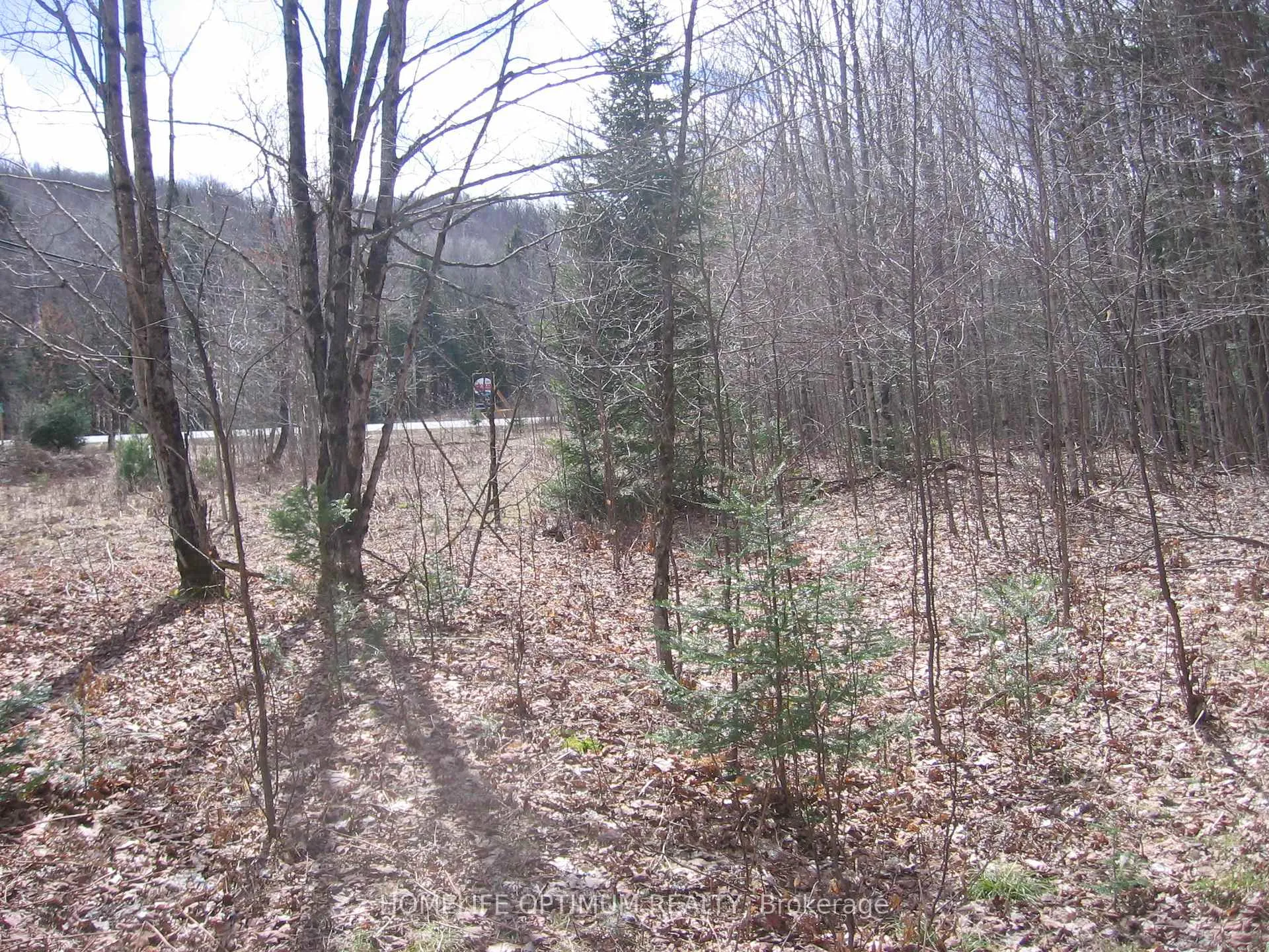 Photo 6 of 2.6 Acres Norley Drive, Algonquin Highlands, Stanhope — HOMEH