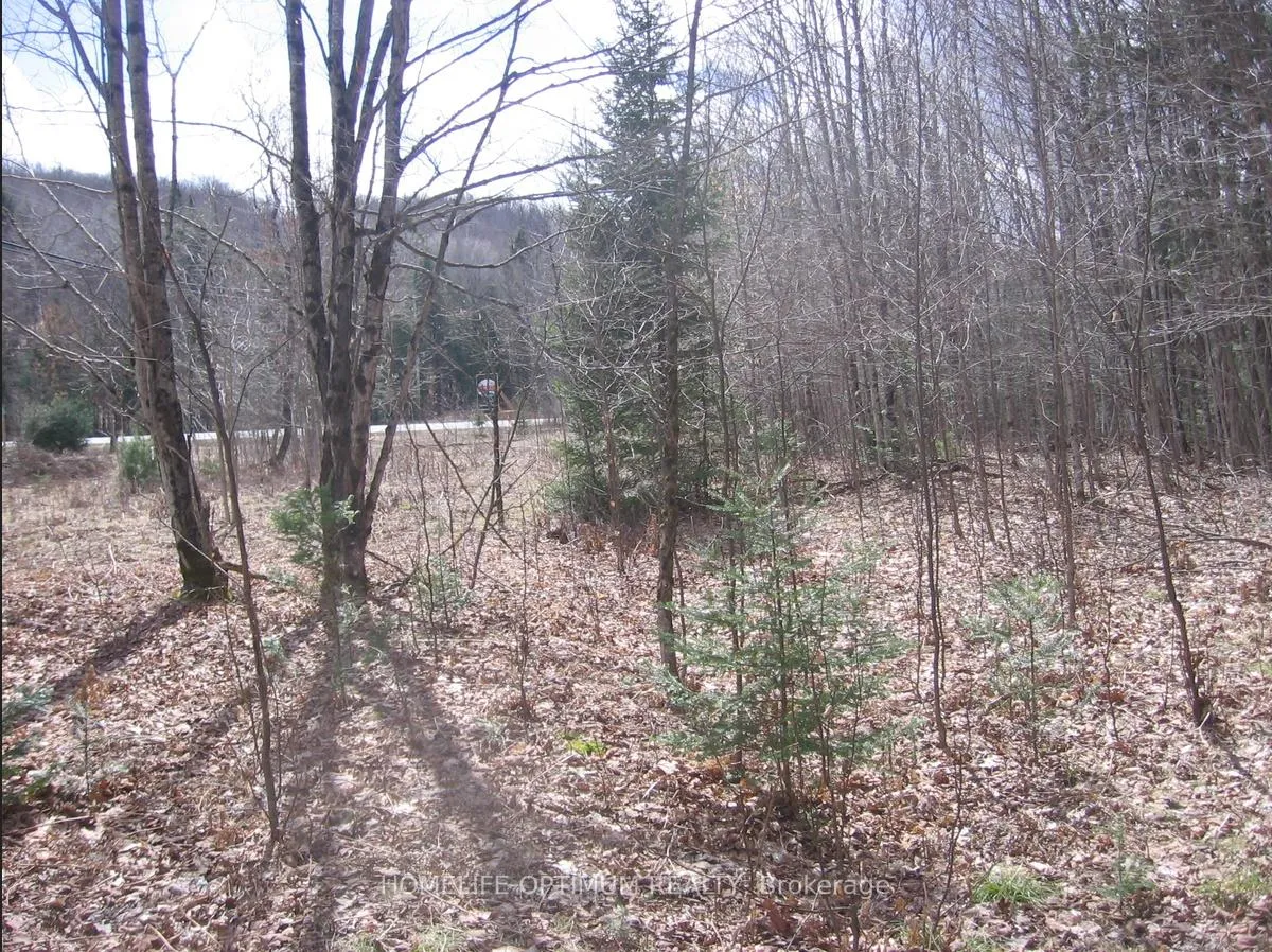 Photo 7 of 2.6 Acres Norley Drive, Algonquin Highlands, Stanhope — HOMEH