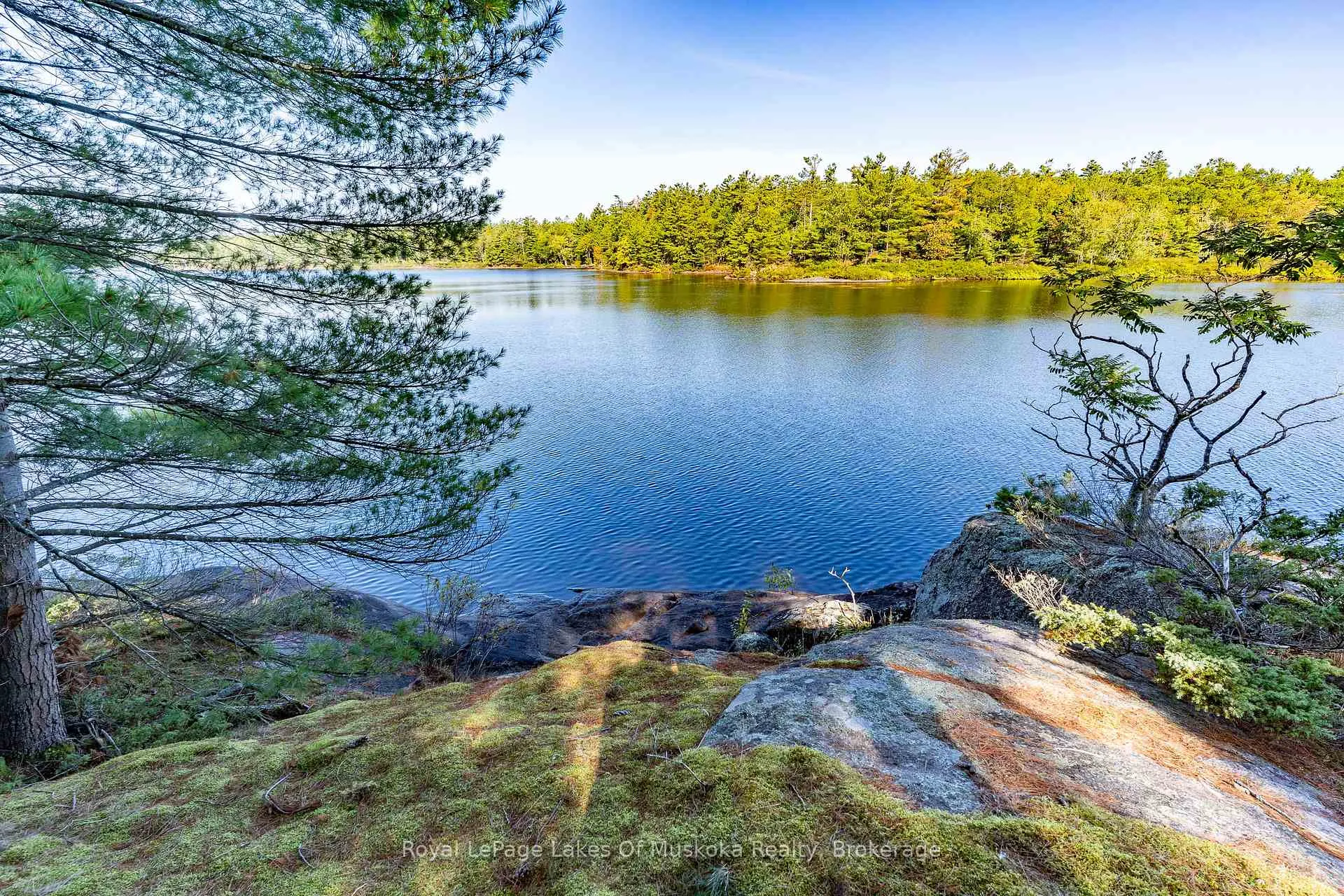 Photo 7 of 1010 Tara Lane, Gravenhurst, Wood (Gravenhurst) — HOMEH
