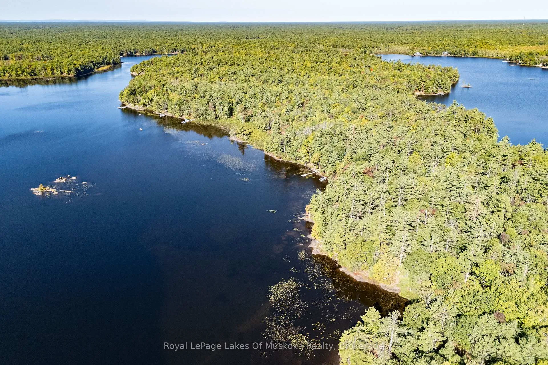Photo 45 of 1010 Tara Lane, Gravenhurst, Wood (Gravenhurst) — HOMEH