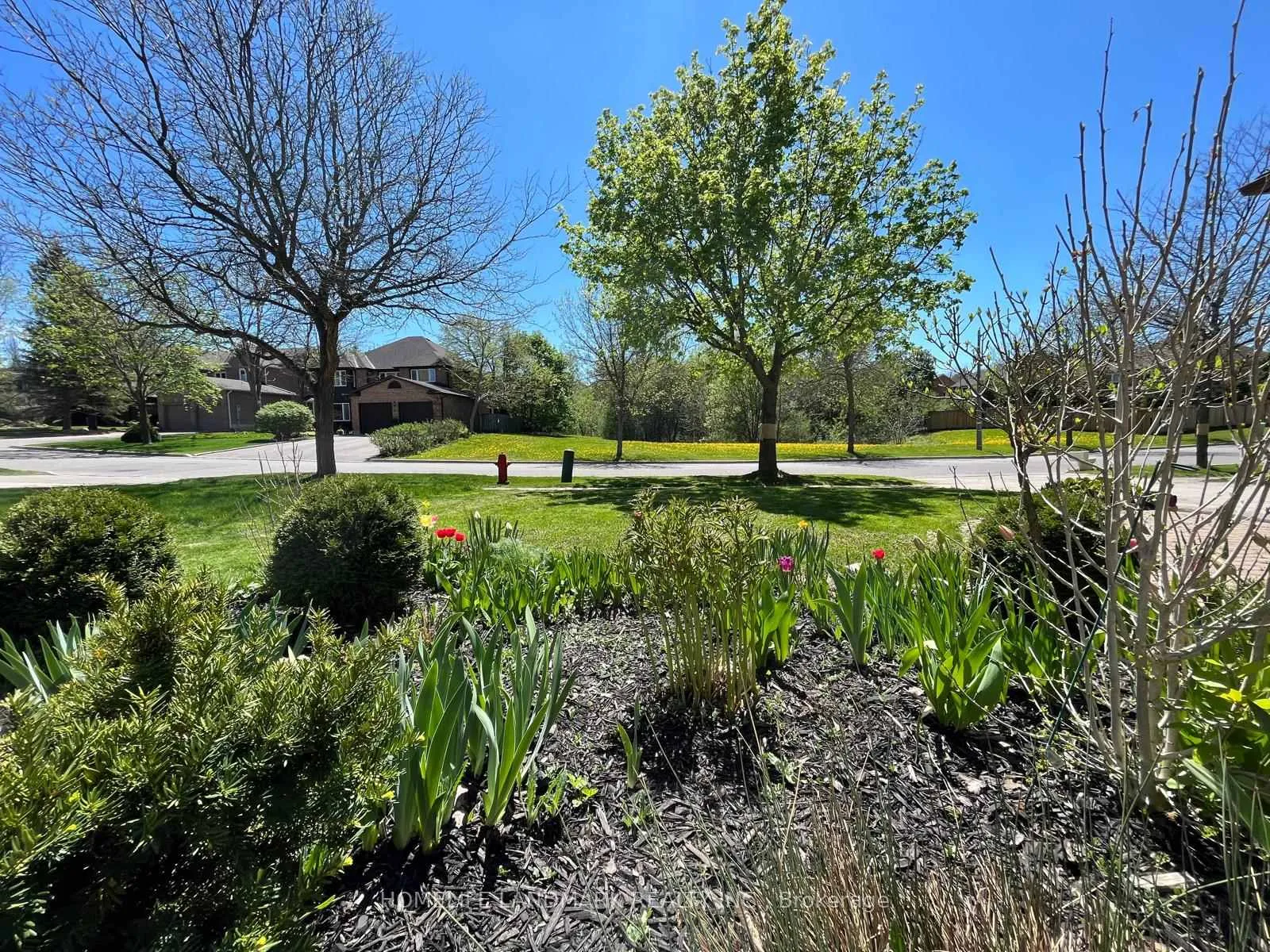 Photo 43 of 16 Willis Drive, Aurora, Aurora Highlands — HOMEH