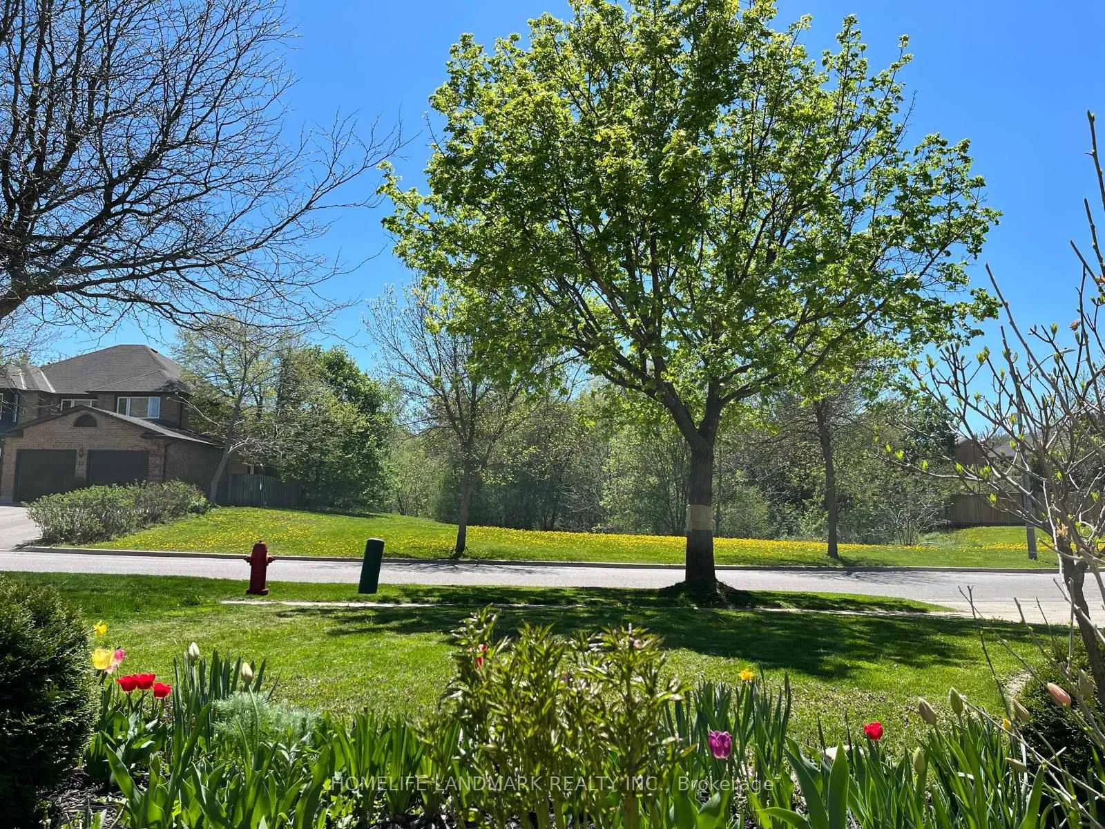 Photo 44 of 16 Willis Drive, Aurora, Aurora Highlands — HOMEH