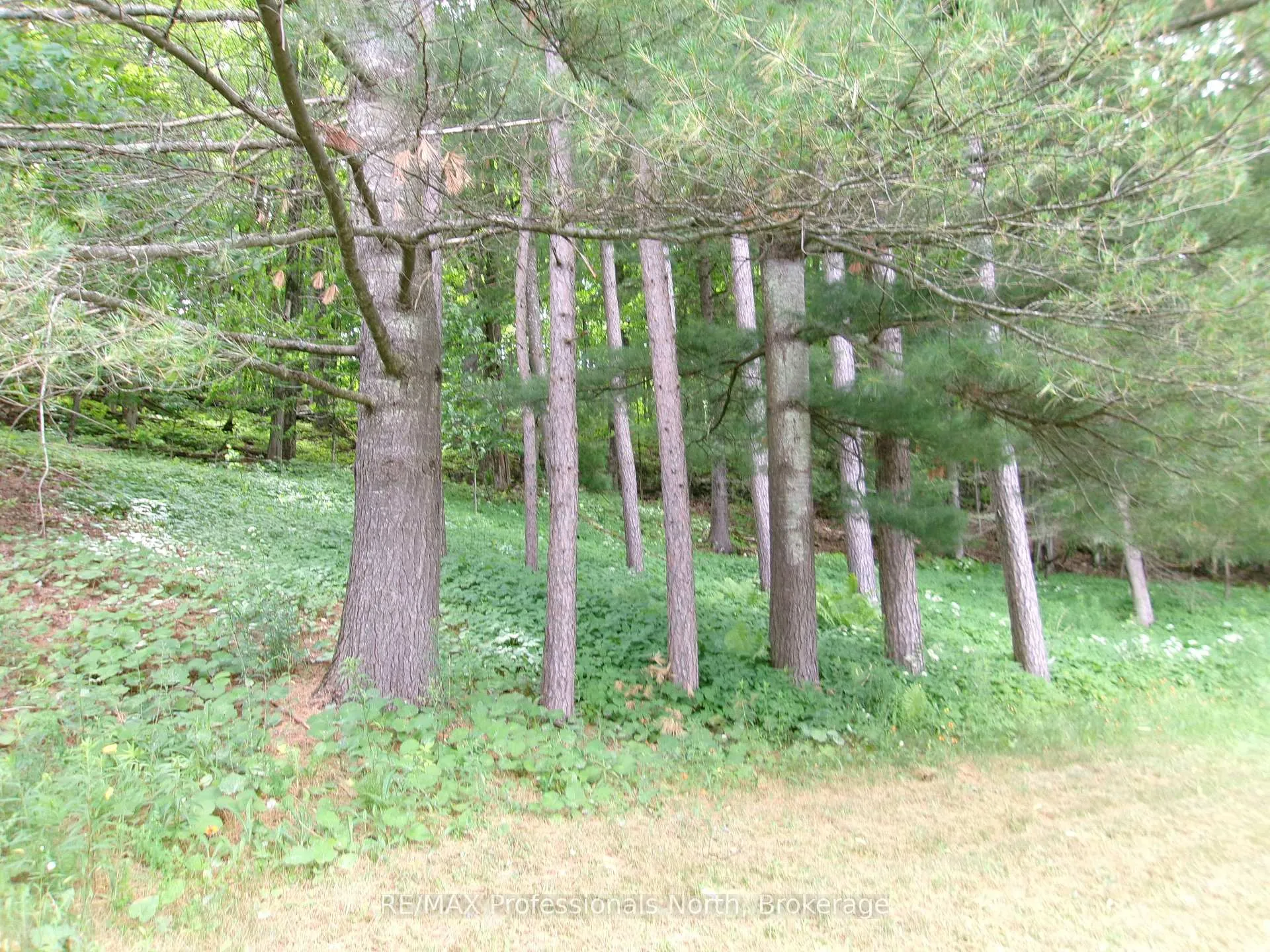 Photo 16 of 72 Bobcaygeon Road, Minden Hills, Lutterworth — HOMEH