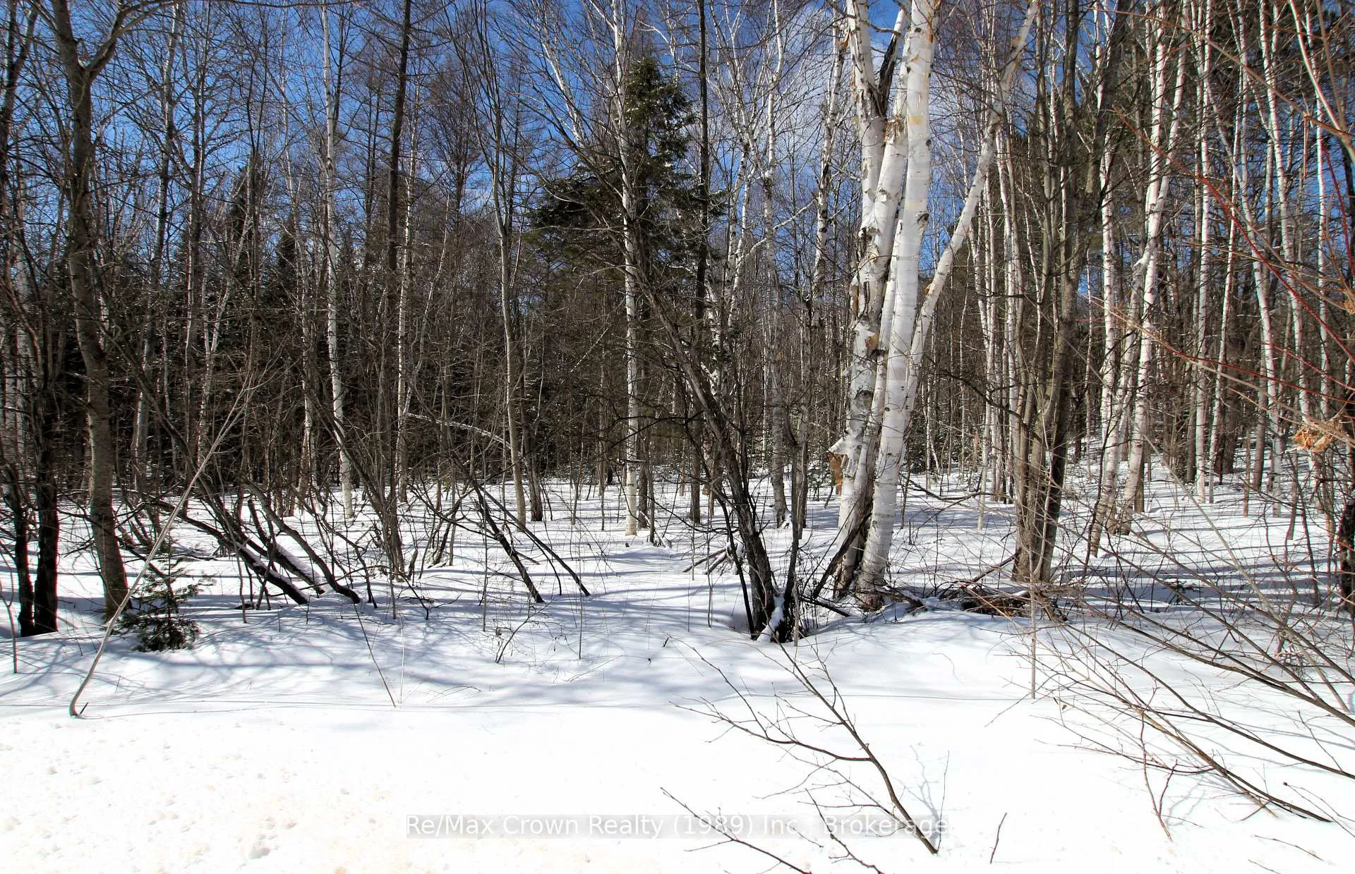 Photo 3 of Alsace Road, Nipissing — HOMEH