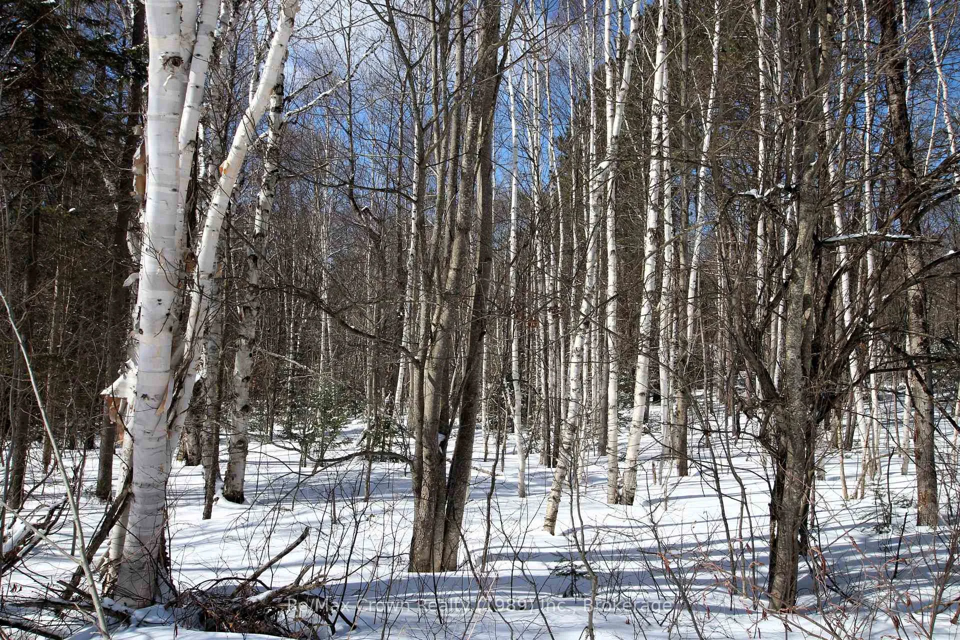 Photo 4 of Alsace Road, Nipissing — HOMEH