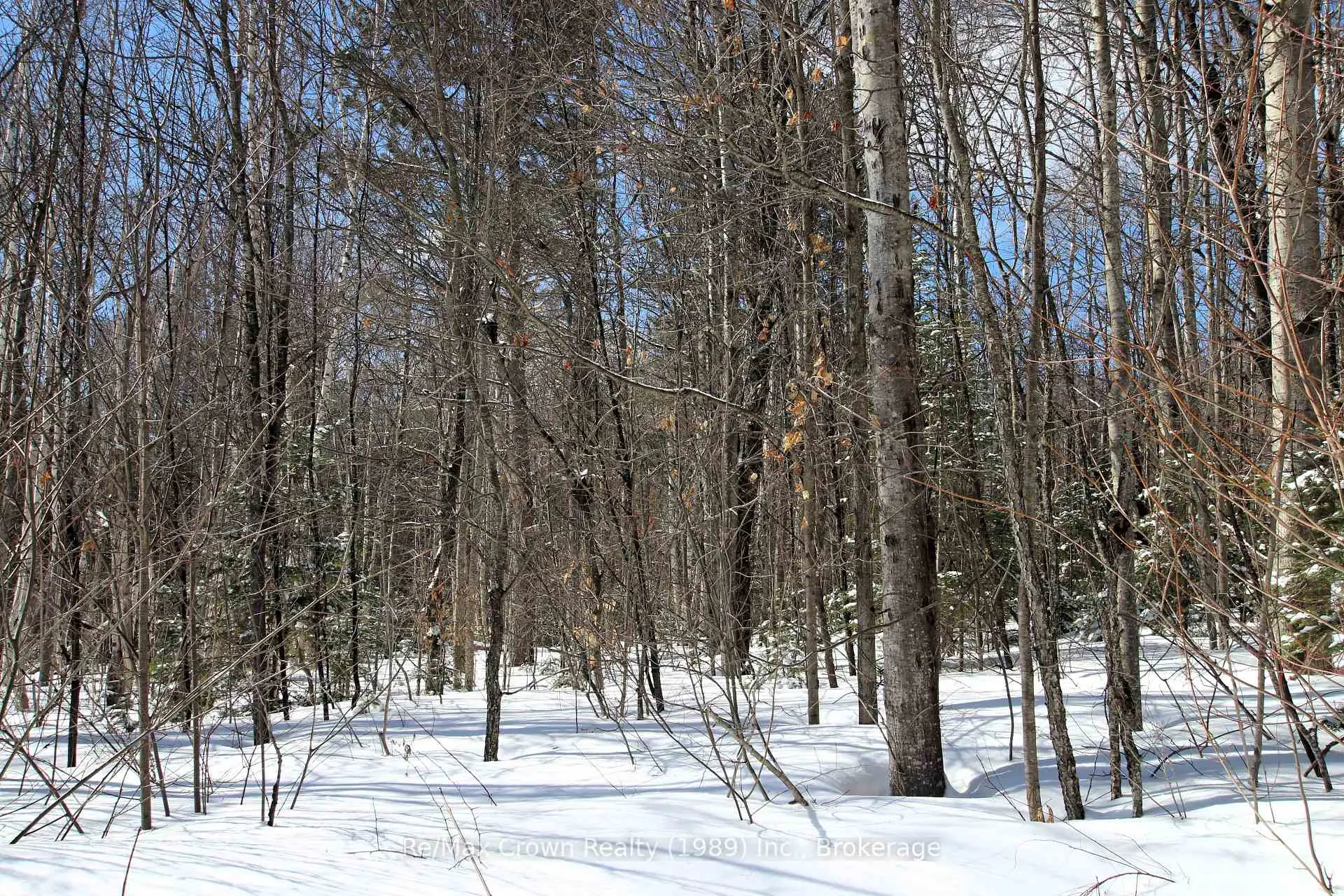 Photo 5 of Alsace Road, Nipissing — HOMEH