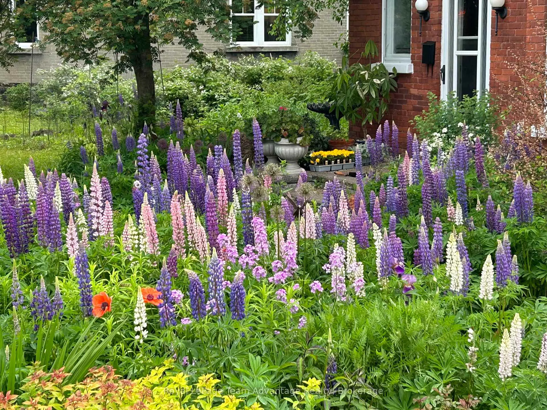 Photo 44 of 79 Gibson Street, Parry Sound — HOMEH