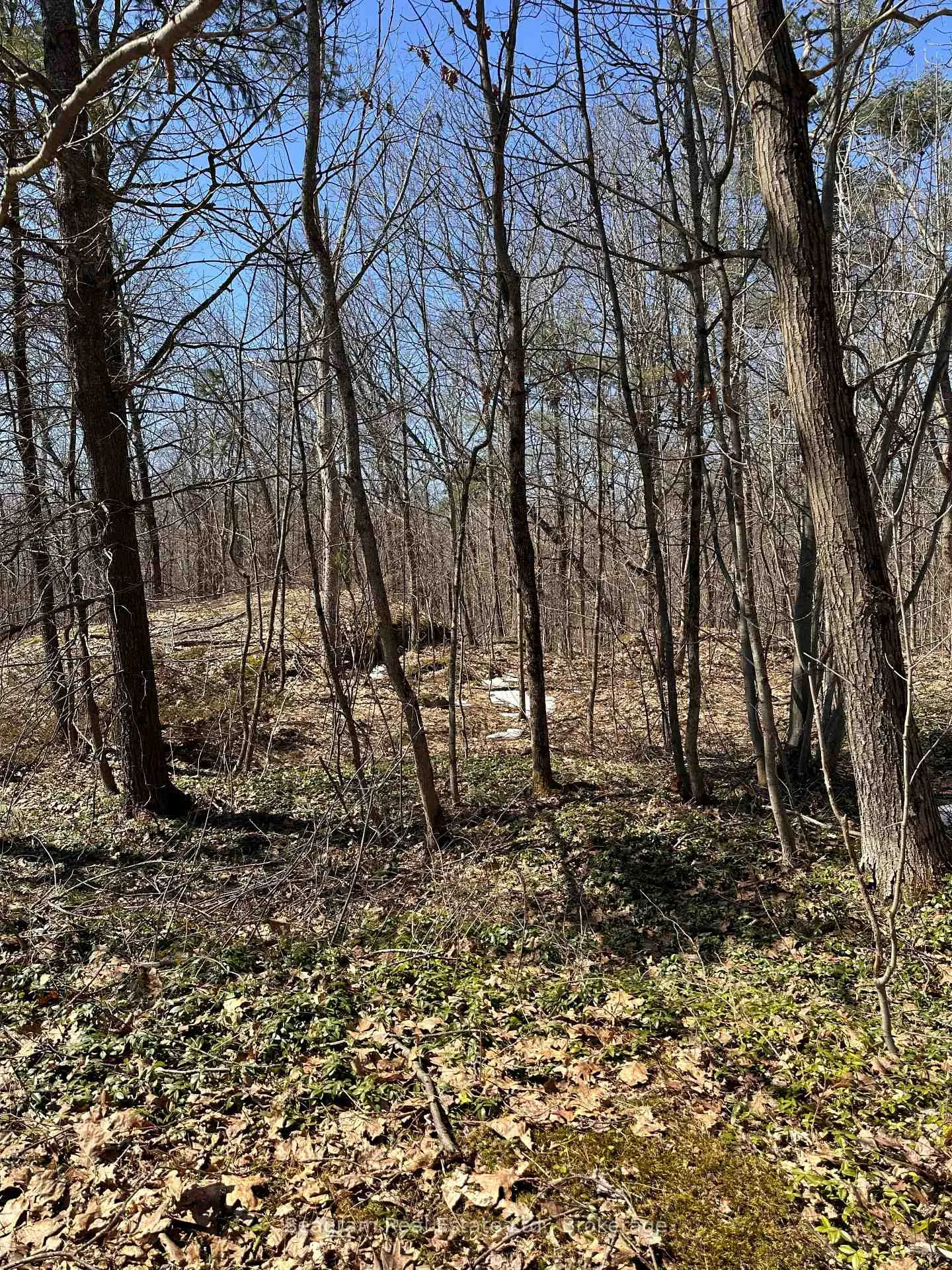 Photo 1 of Gravenhurst, Morrison — HOMEH