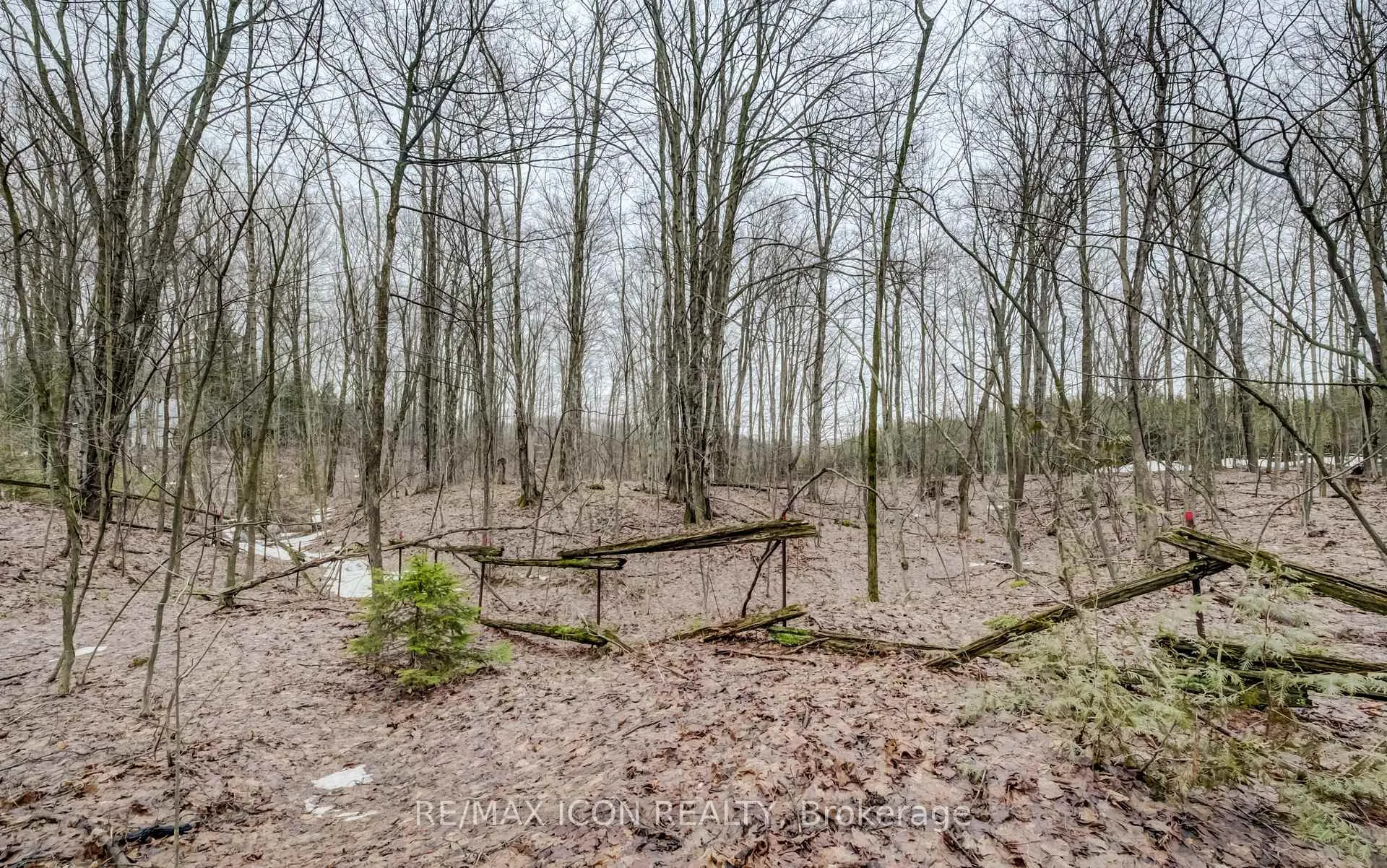 Photo 9 of 263074 Wilder Lake Road, Southgate — HOMEH