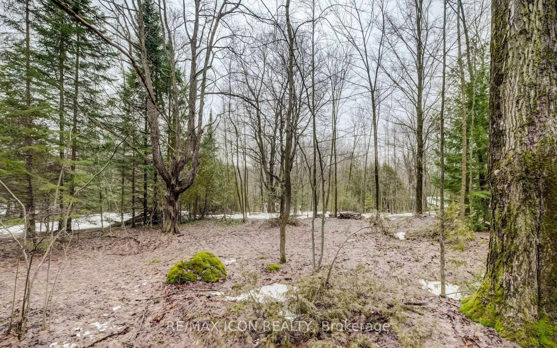 Photo 10 of 263074 Wilder Lake Road, Southgate — HOMEH