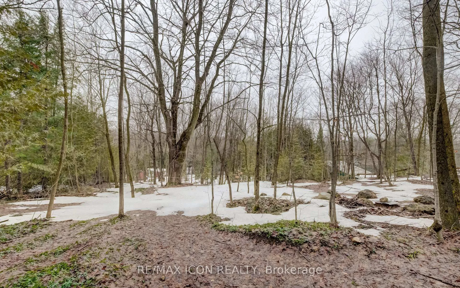 Photo 11 of 263074 Wilder Lake Road, Southgate — HOMEH