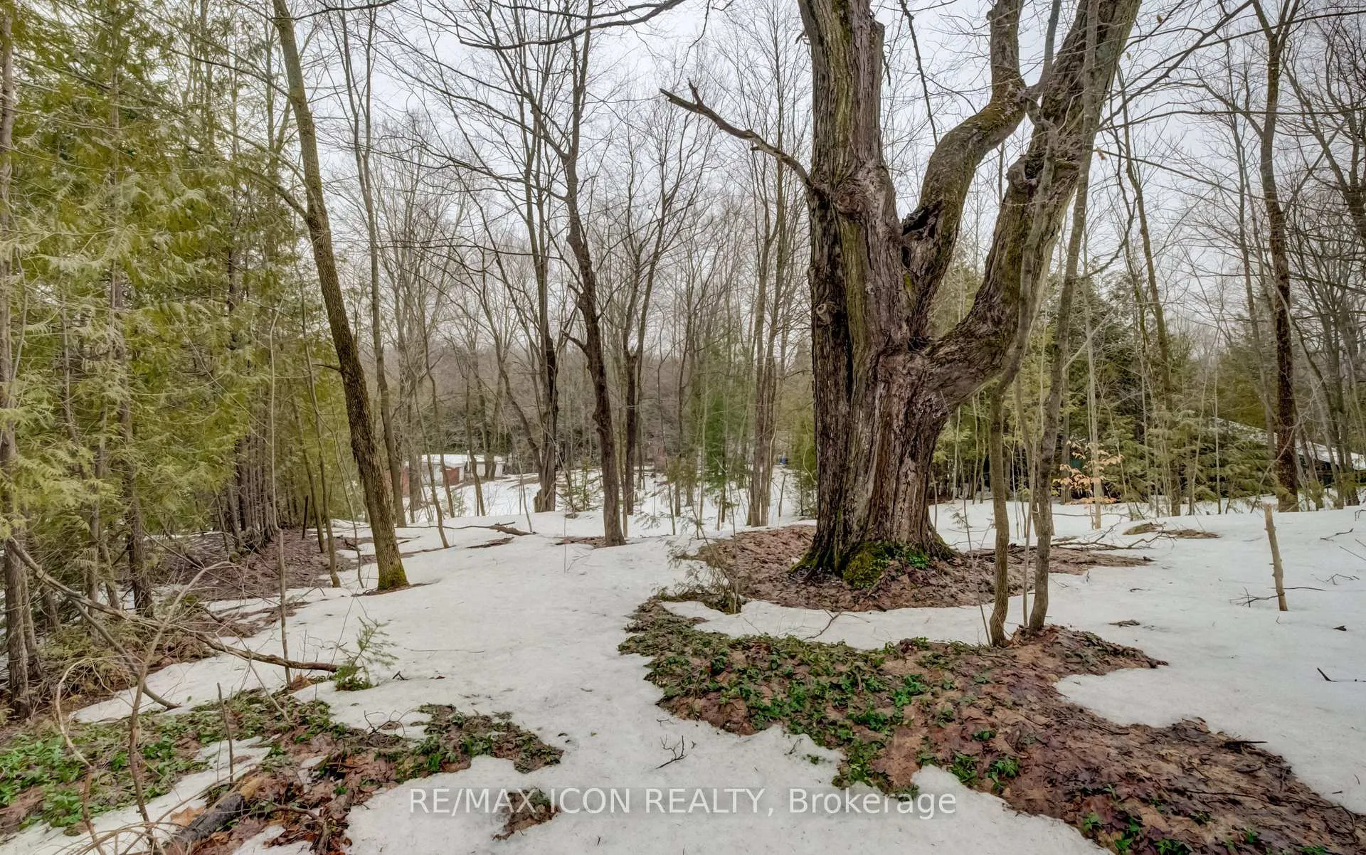 Photo 12 of 263074 Wilder Lake Road, Southgate — HOMEH