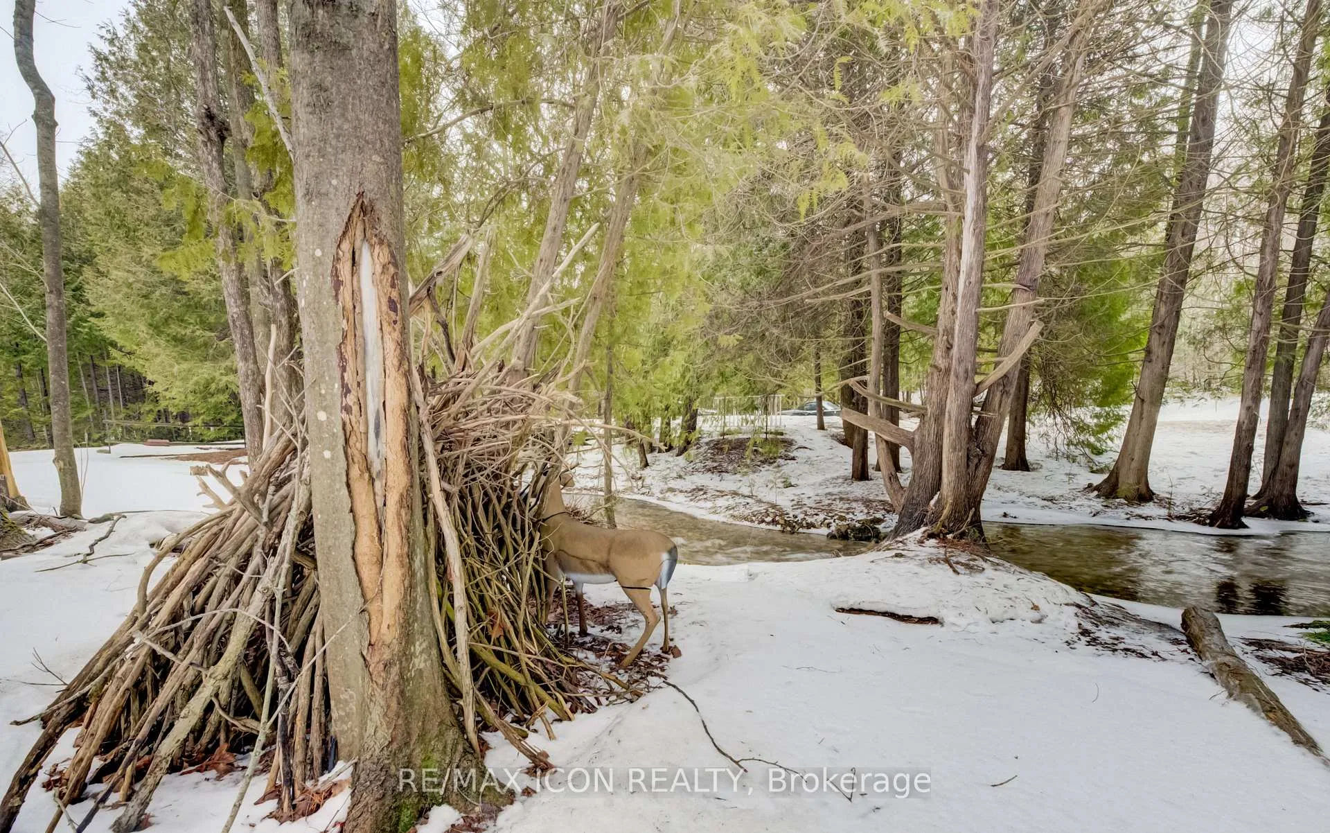 Photo 18 of 263074 Wilder Lake Road, Southgate — HOMEH