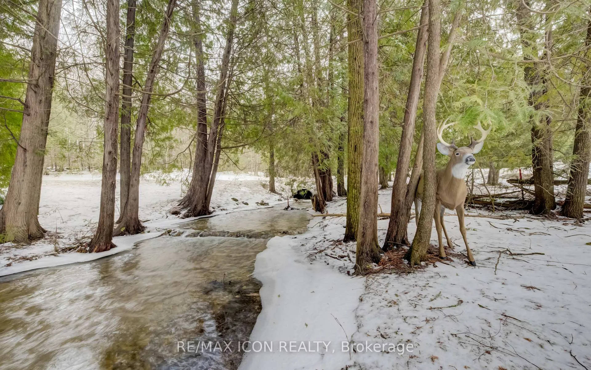 Photo 20 of 263074 Wilder Lake Road, Southgate — HOMEH