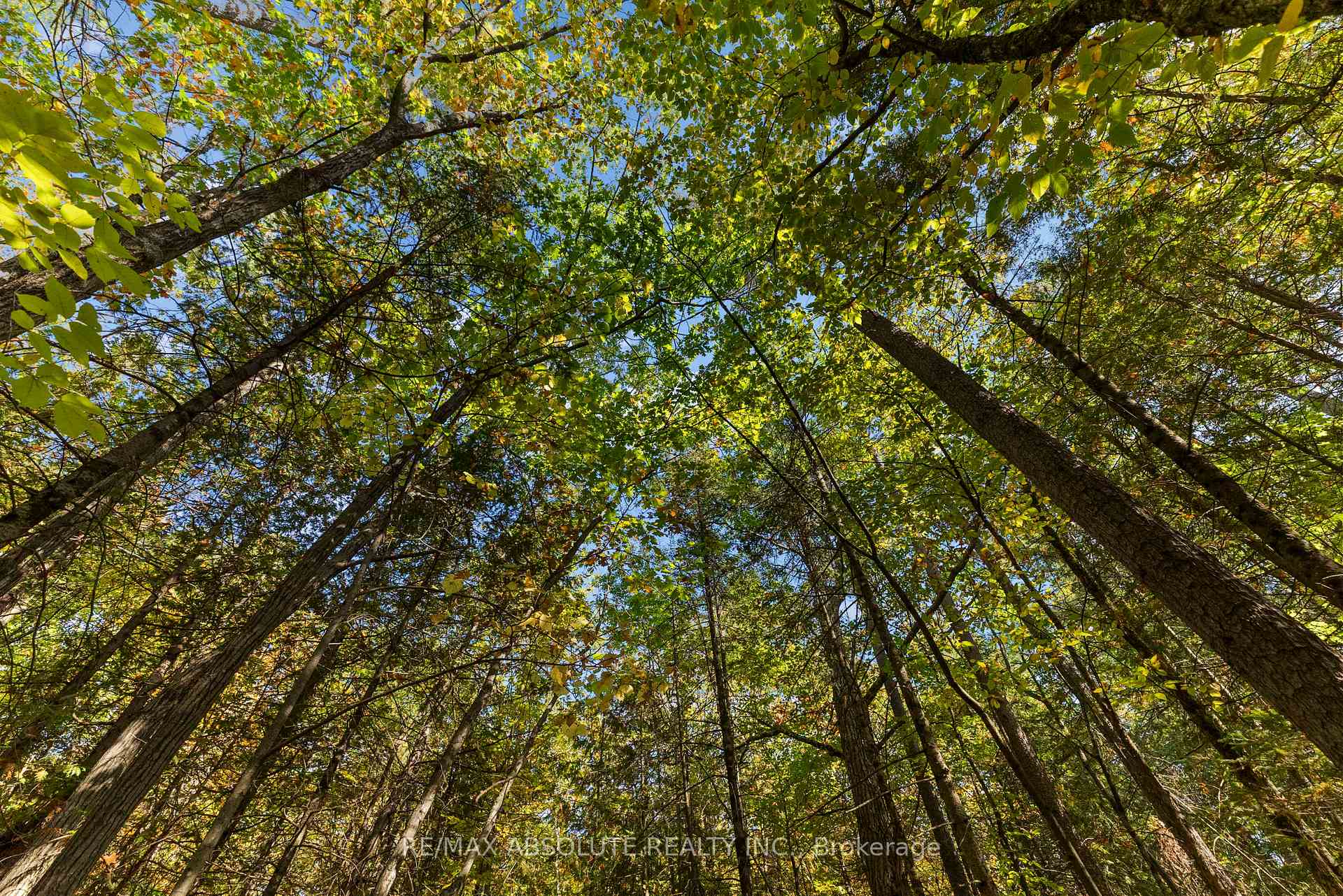 Photo 24 of 02 Braecrest Avenue, McNab/Braeside, Mcnab/Braeside Twps — HOMEH