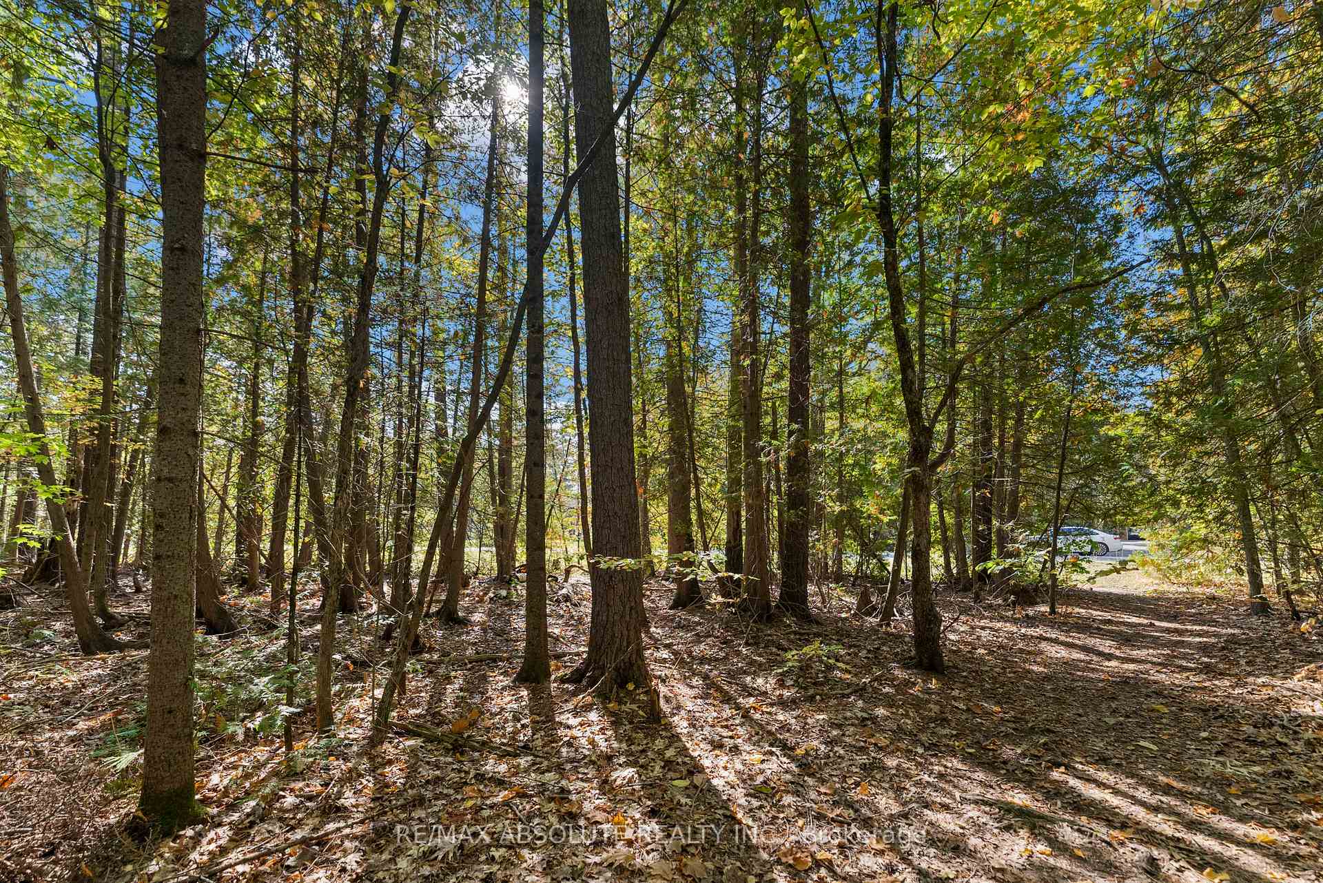 Photo 25 of 02 Braecrest Avenue, McNab/Braeside, Mcnab/Braeside Twps — HOMEH