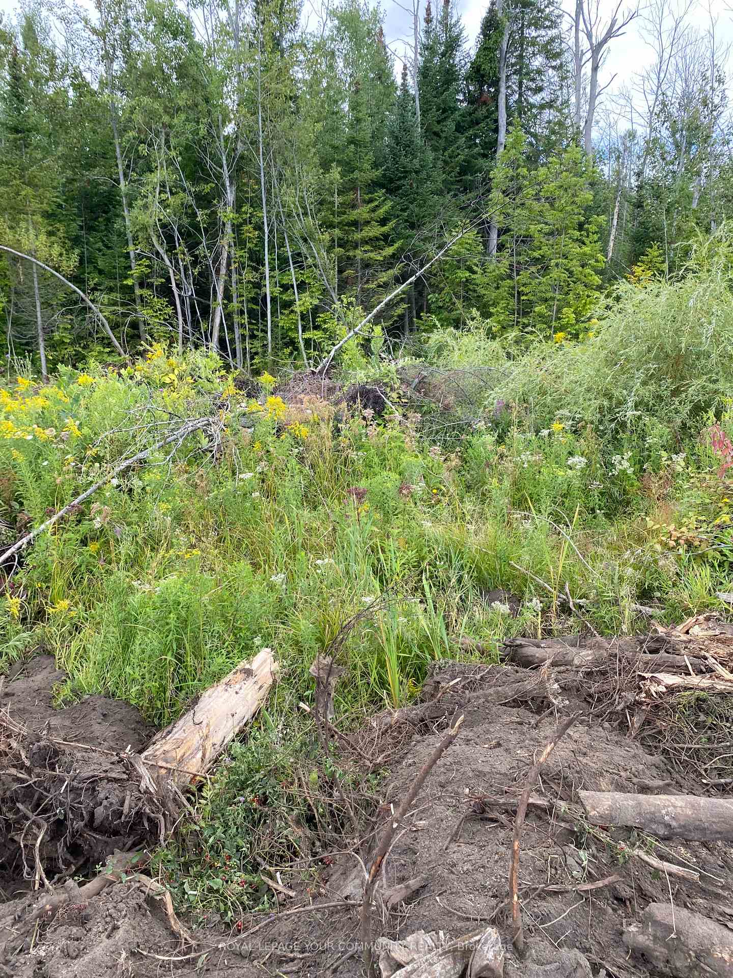Photo 3 of 2566 25 Sideroad Road, Innisfil, Rural Innisfil — HOMEH