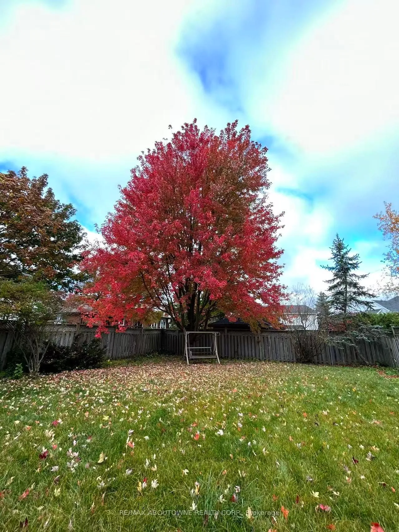 Photo 37 of 42 Celia Crescent, Guelph, Dovercliffe Park/Old University — HOMEH