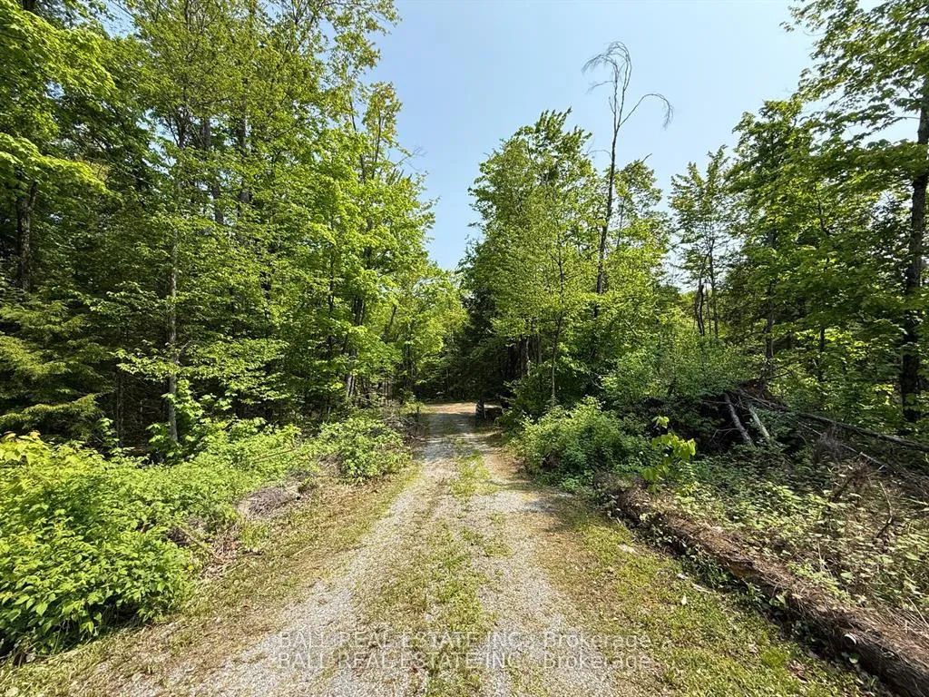 Photo 18 of 1854 The South Road, Wollaston — HOMEH