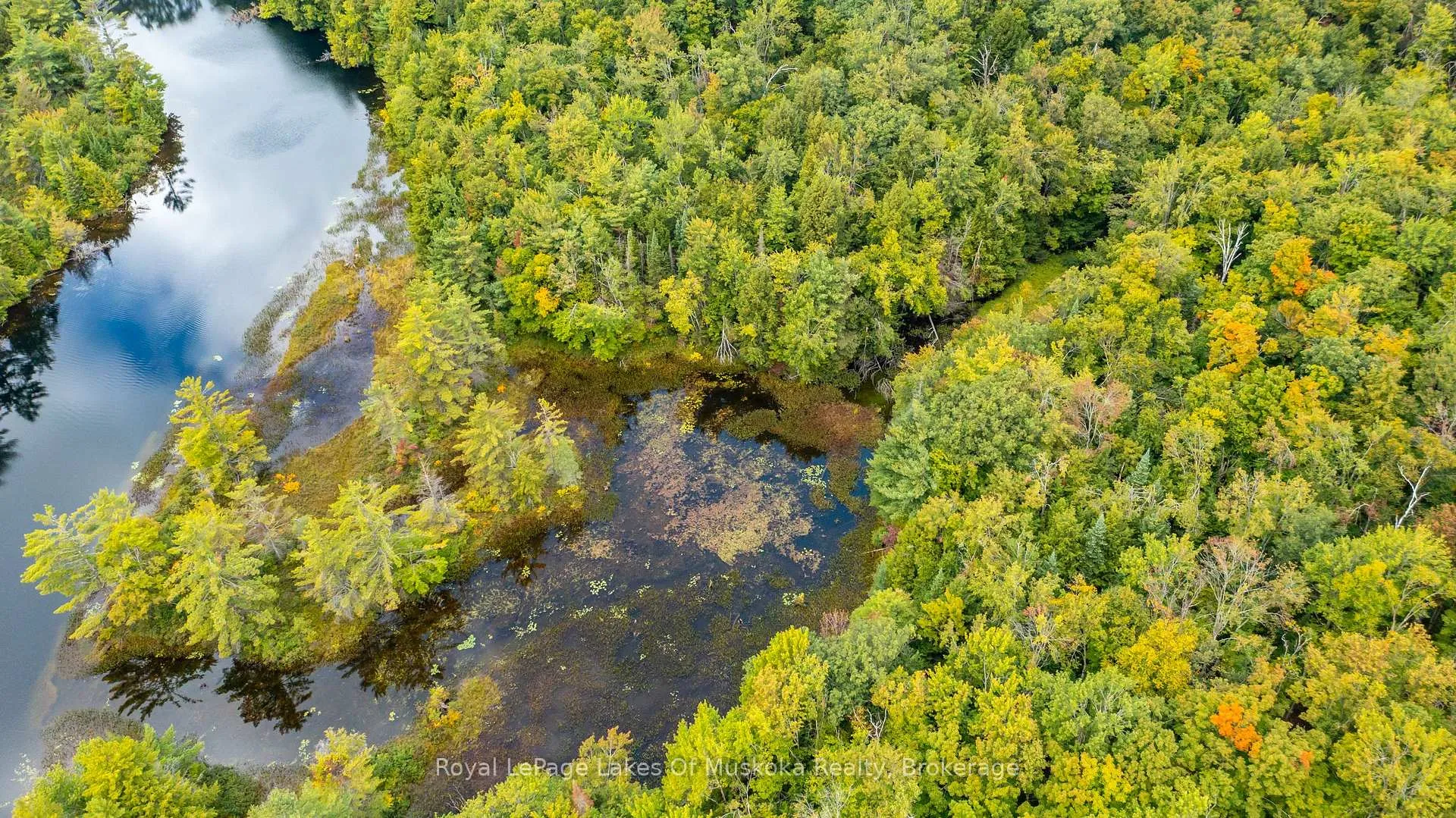 Photo 12 of Muskoka River, Bracebridge, Draper — HOMEH