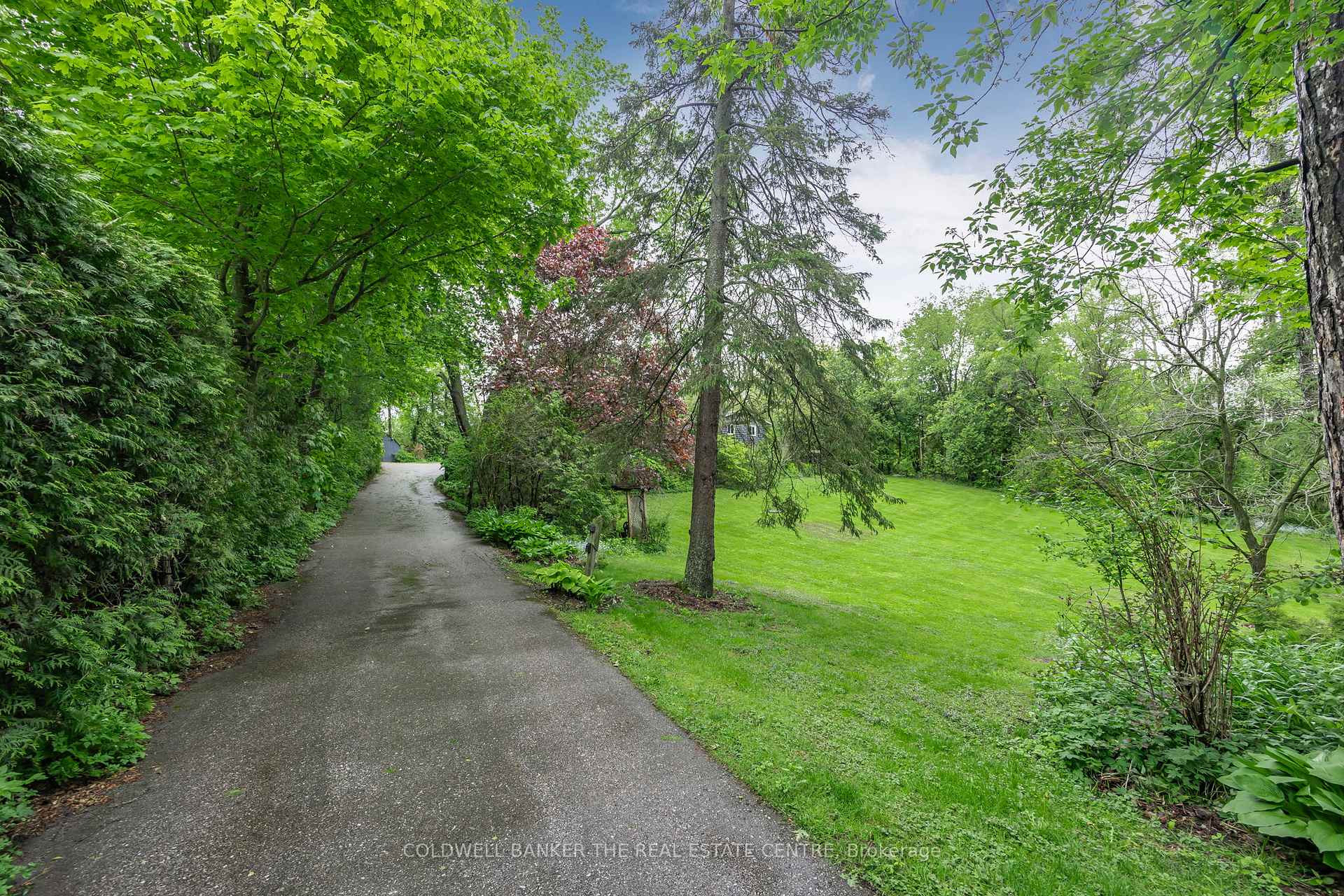 Photo 4 of 55 Old Church Road, King, Rural King — HOMEH