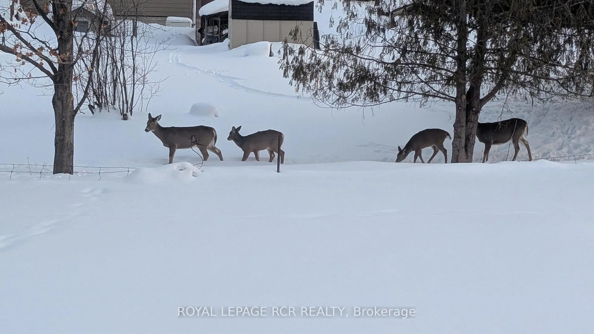 Photo 30 of 18 Westvale Drive, Bracebridge, Monck (Bracebridge) — HOMEH